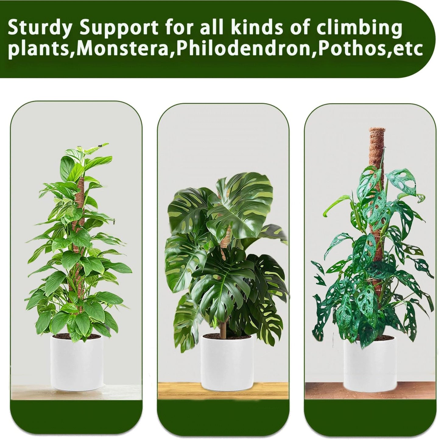 Moss Pole, 4Pack 21 Inch Plant Support Stakes for Indoor Plants, Monstera Plant Support Stakes, 69 Inch Tall Coir Plant Pole Sticks for Potted Plants, Pothos, Philodendron, Climbing Plants Accessories