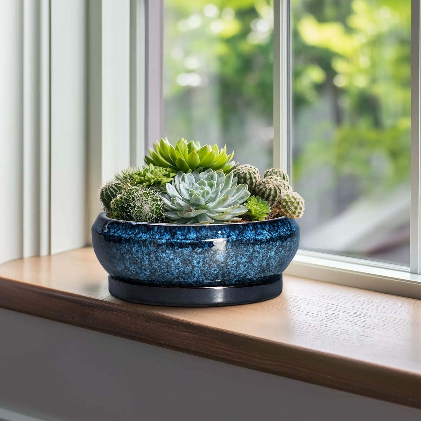EPFamily Bonsai Tree Pots 10 Inch - Ceramic Succulent Pot with Drainage Hole and Saucer, Bonsai Pots for Indoor Outdoor, Round Succulent Planter, Shallow Planter, Desk Decor, Plant Lover Gifts, Blue