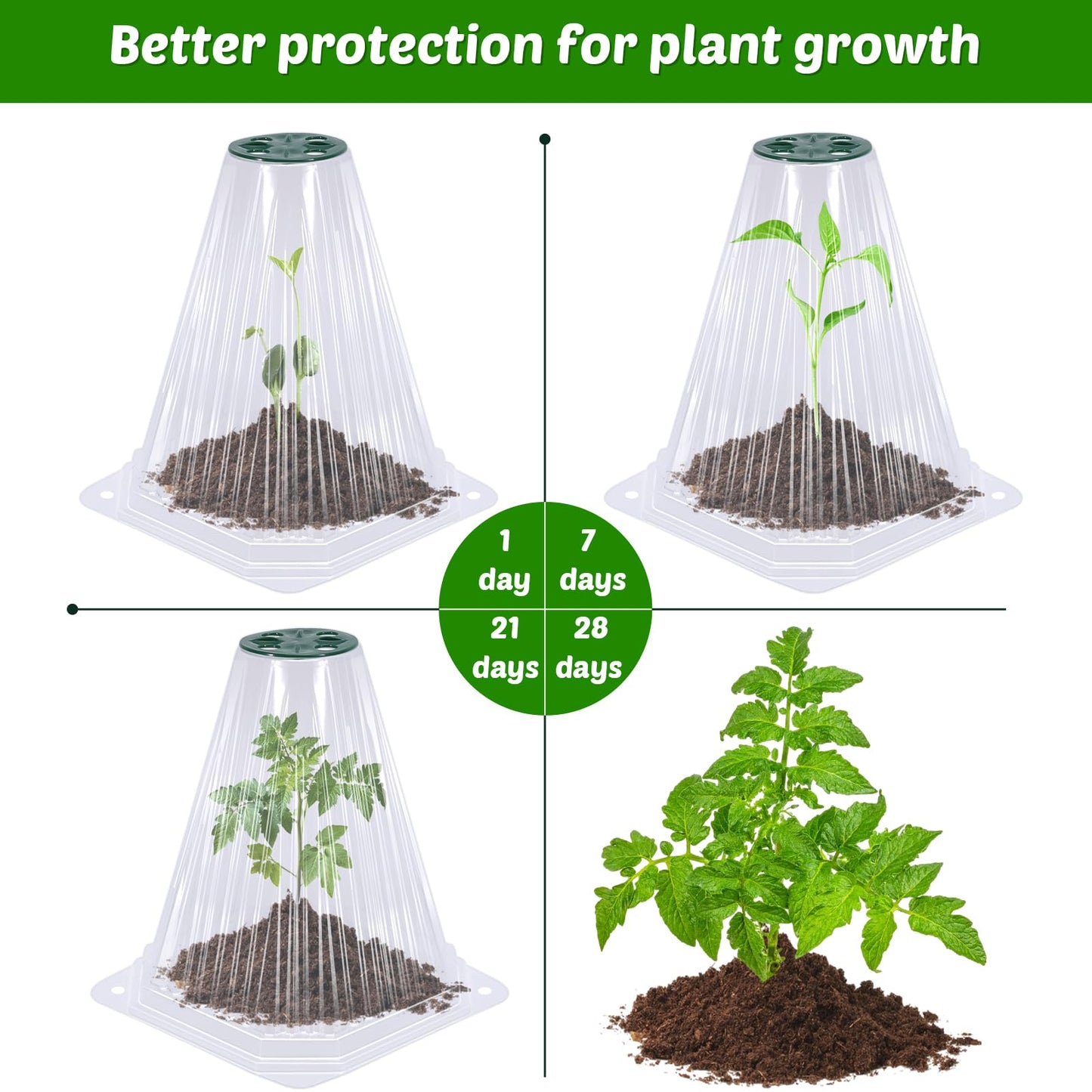 VICAMB 20 Pack Garden Cloches for Plants,Reusable Plant Bell Covers with Rotary Vent and 40PCS Ground Stakes,Garden Protector from Birds Chicken Animals,7.9" H X 6.7" D