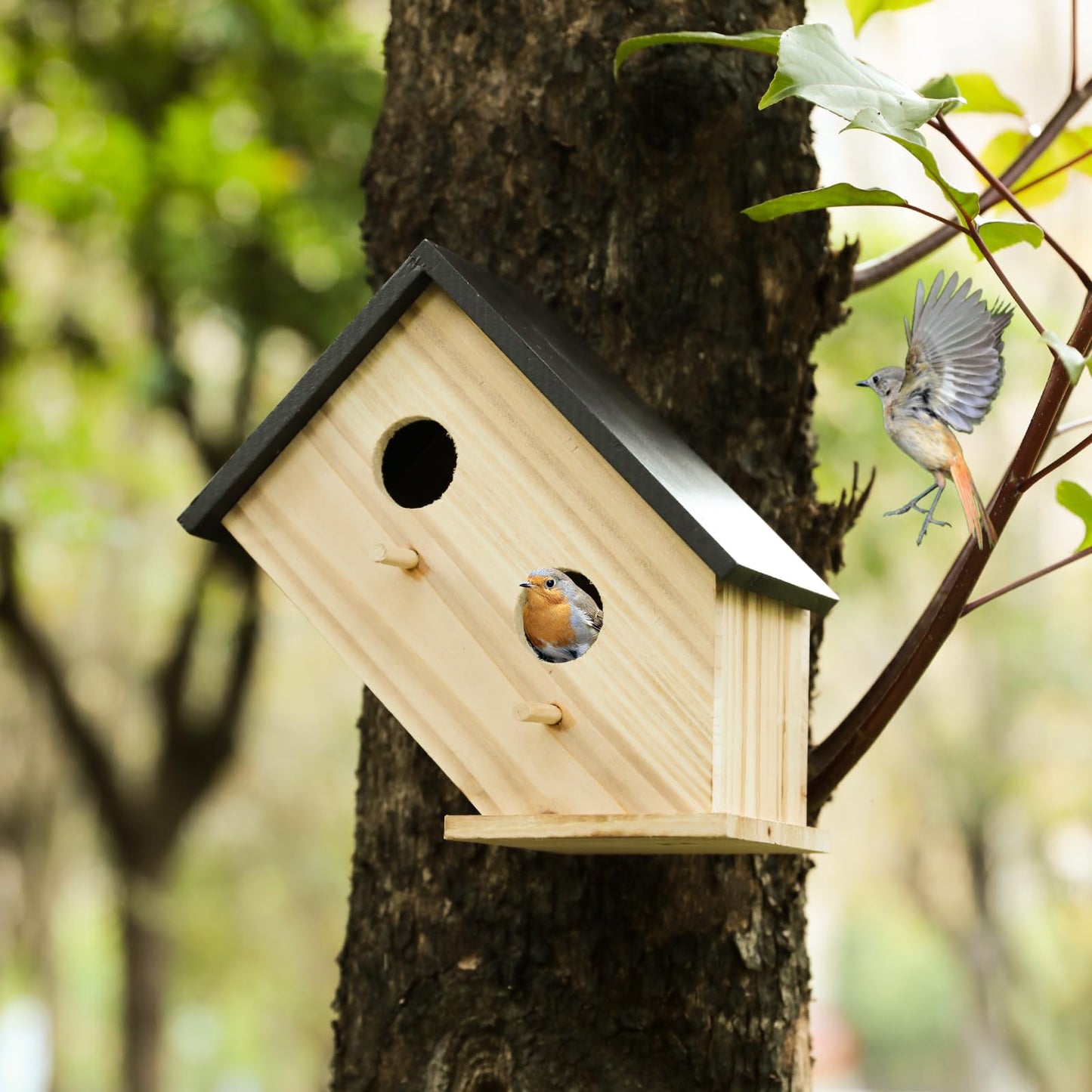 Bird House for Outside, Wooden Birdhouse for Outdoors Hanging - 2 Hole Wren House for Bluebirds Cardinals, Small Garden Bird House with Metal Hook