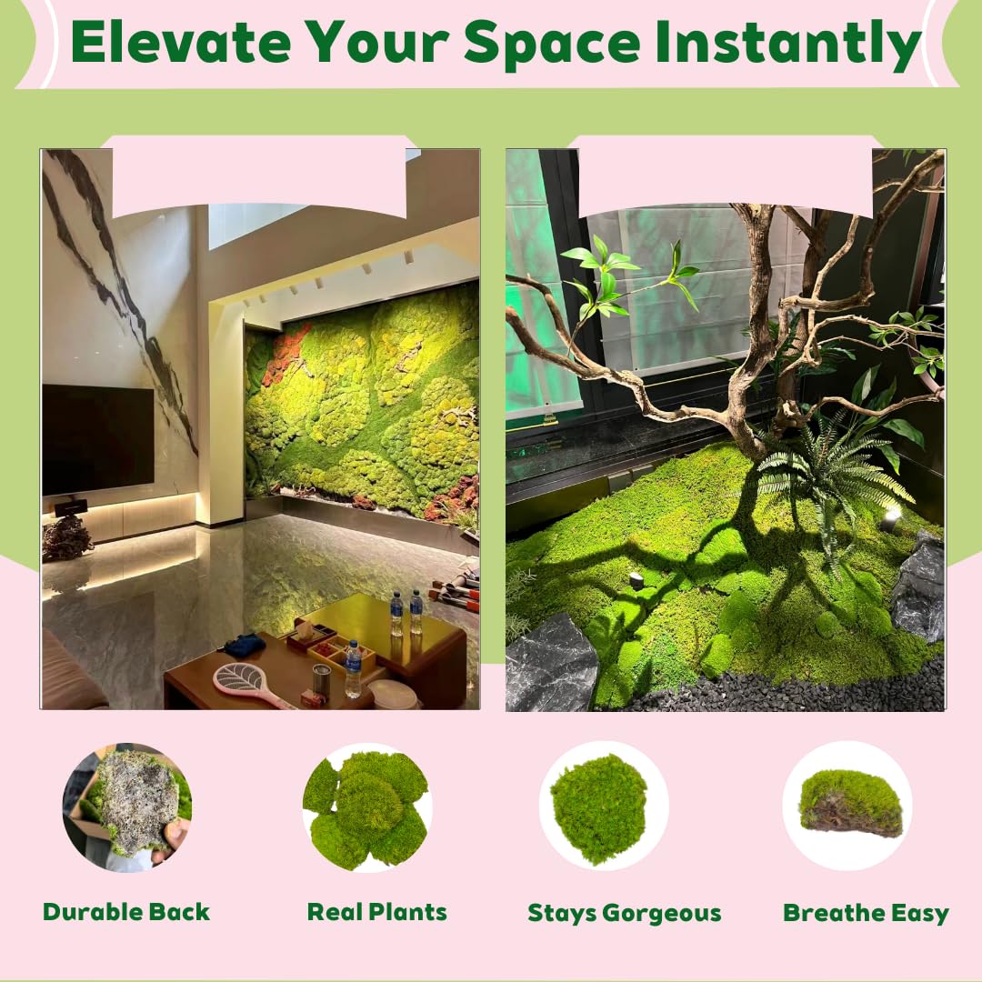 Cigarlemon Preserved Moss for DIY Crafts - 1.5 sq.ft Natural Dried Moss for Terrarium, Fairy Garden, Home Decor, Wall Art, Floral Arrangements - Flexible Real for Creative Projects, Dark Green
