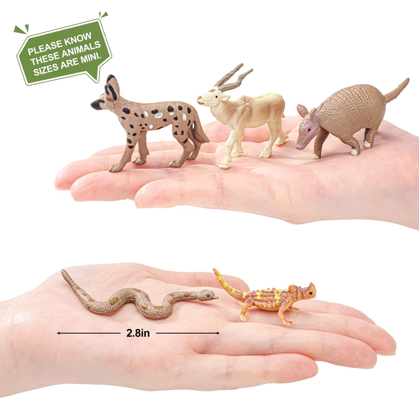 THINKBAY 16PCS Desert Animals Toys for Kids Includes Lizard, Cactus, Rattlesnake, Komodo Dragon Figurines, Desert Animals Figures for Diorama, Cake Toppers, Valentine's Day Gifts for Kids