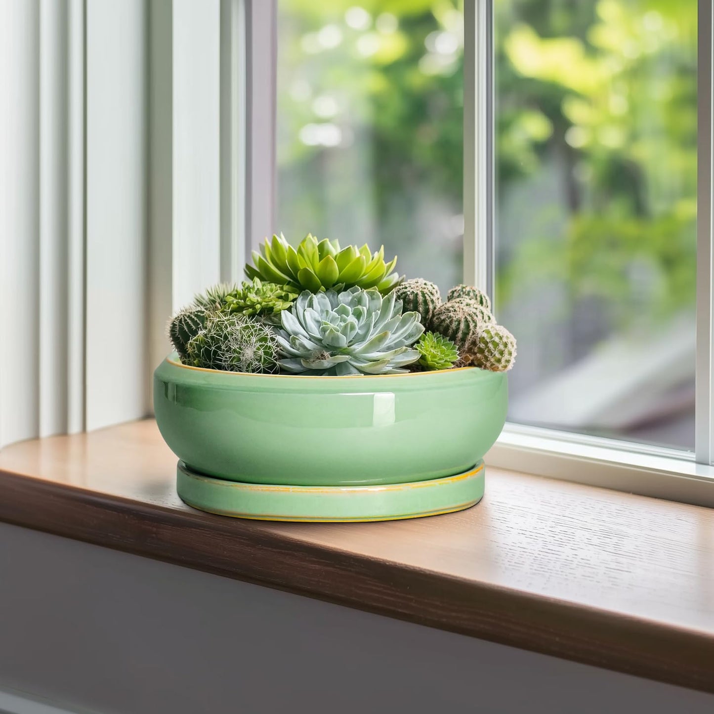 EPFamily 10 Inch Bonsai Tree Pots - Ceramic Succulent Pots with Drainage Hole and Tray, Shallow Planter for Indoor Outdoor Plants, Round Planters, House Decor, Gifts for Plant Lovers, Light Green
