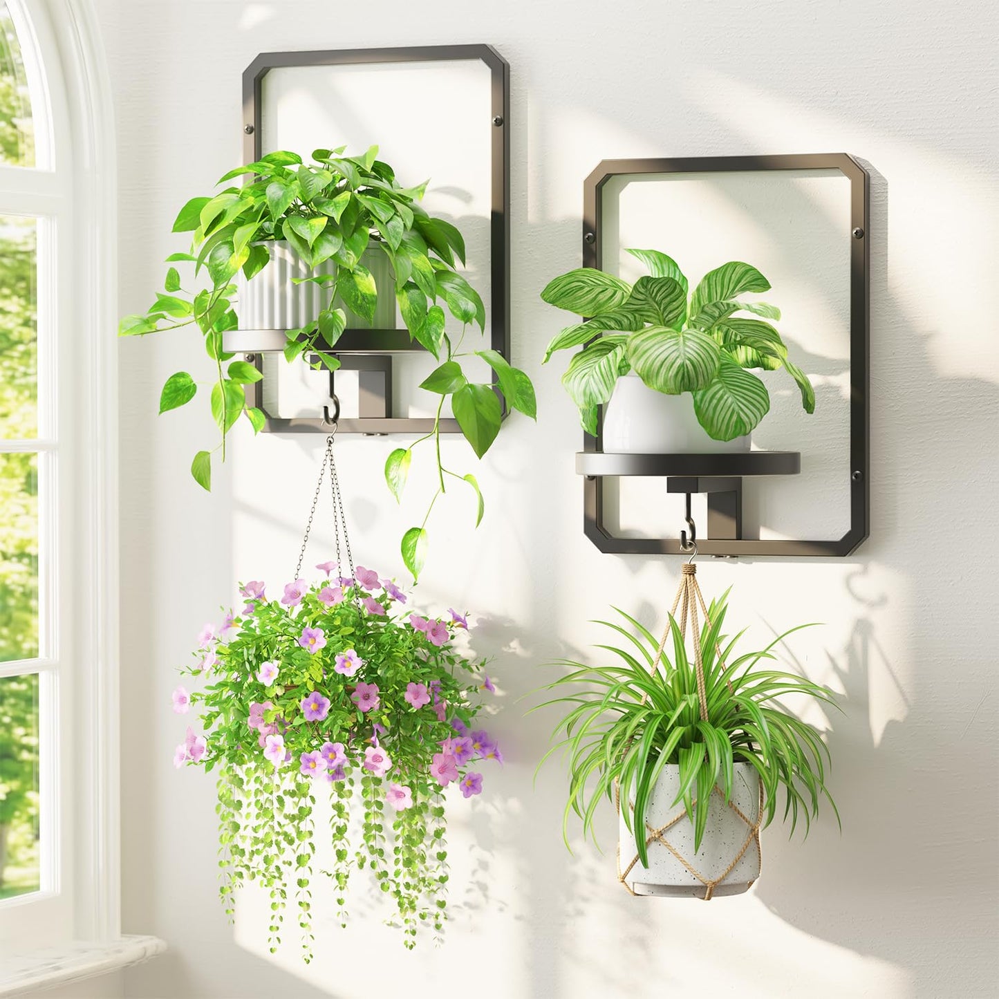 LASZOLA Plant Hangers Holder Wall Mount for Indoor Window, 2 Pack Floating Flower Stand Shelf with Hooks, Metal Picture Frame Hanging Planter Display Decor for Kitchen Bathroom, Black