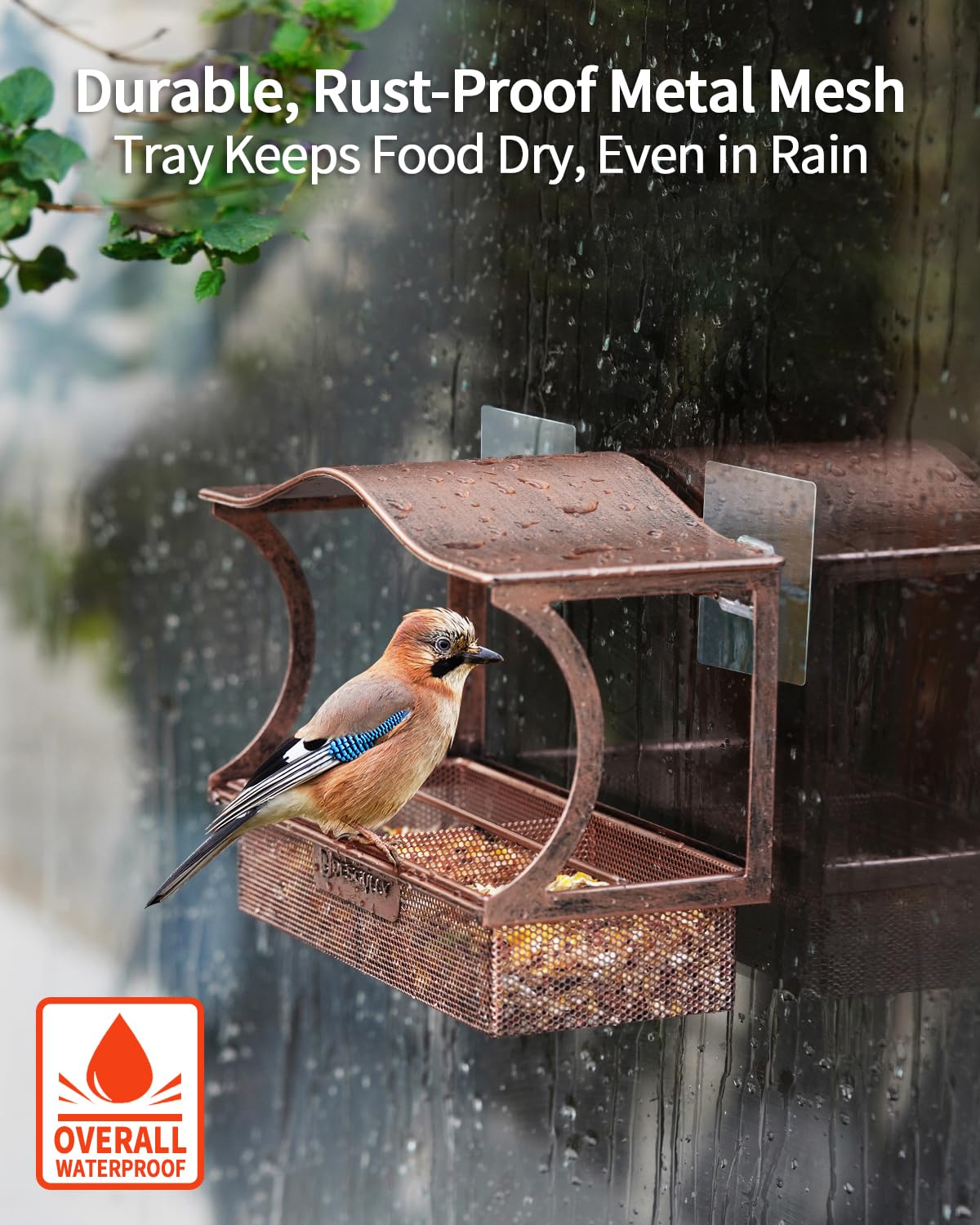 Window Bird Feeder, Metal - with Strong Suction Cups, Large Outdoor for Viewing Bird Watching Gift (Curved)