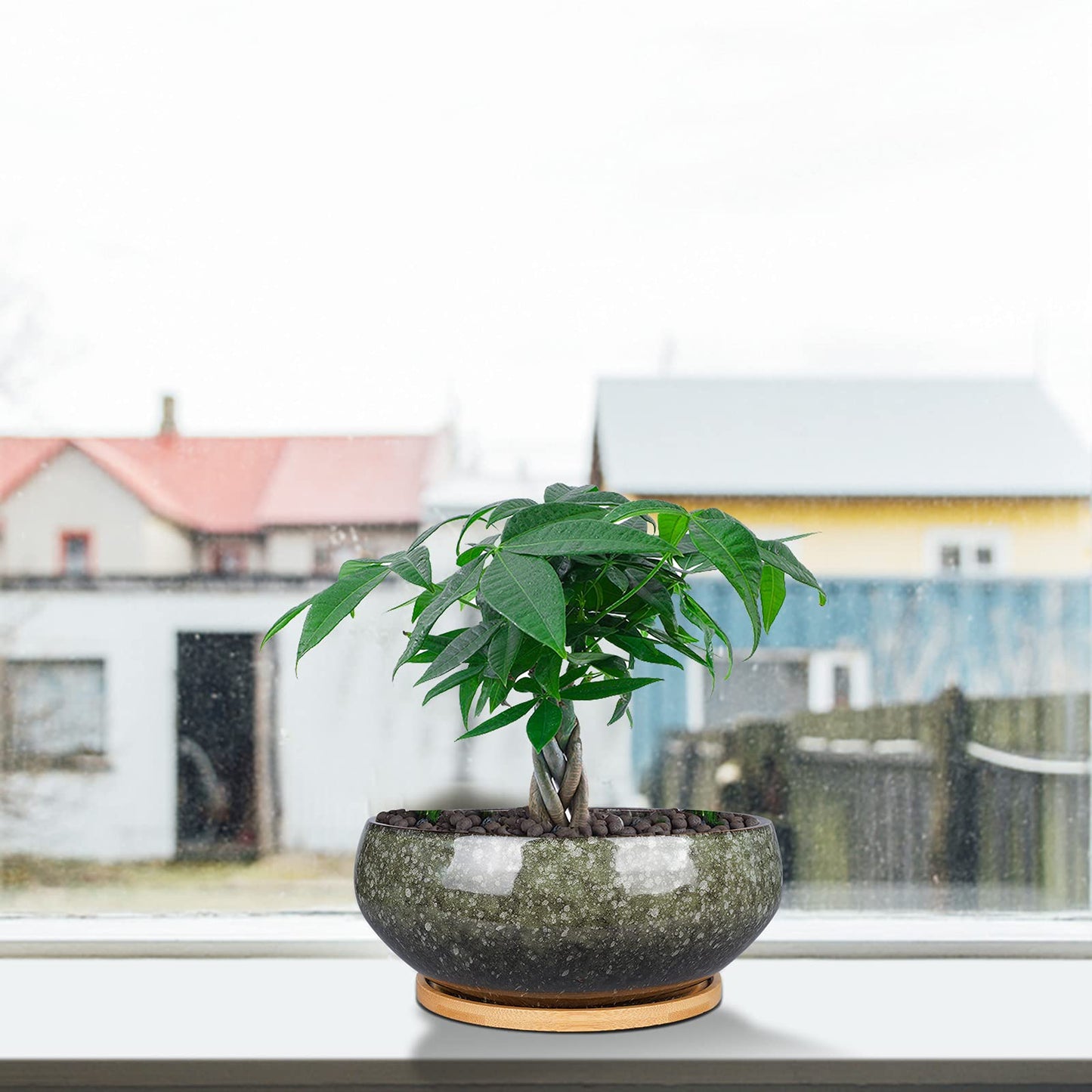 EPFamily 8 Inch Ceramic Bonsai Planter Pot, Glazed Shallow Succulent Planter with Drainage Hole and Bamboo Saucer for Indoor Plants, Brown
