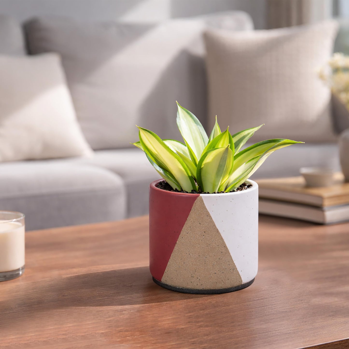 D'vine Dev 4.5" Stoneware Cachepot Planter with 4" Clear Nursery Pot & Detachable Saucer – Indoor Plant Pot with Drainage for Bottom Watering & Root Visibility, Crimson Dune, Set of 2, 93-V-B-4