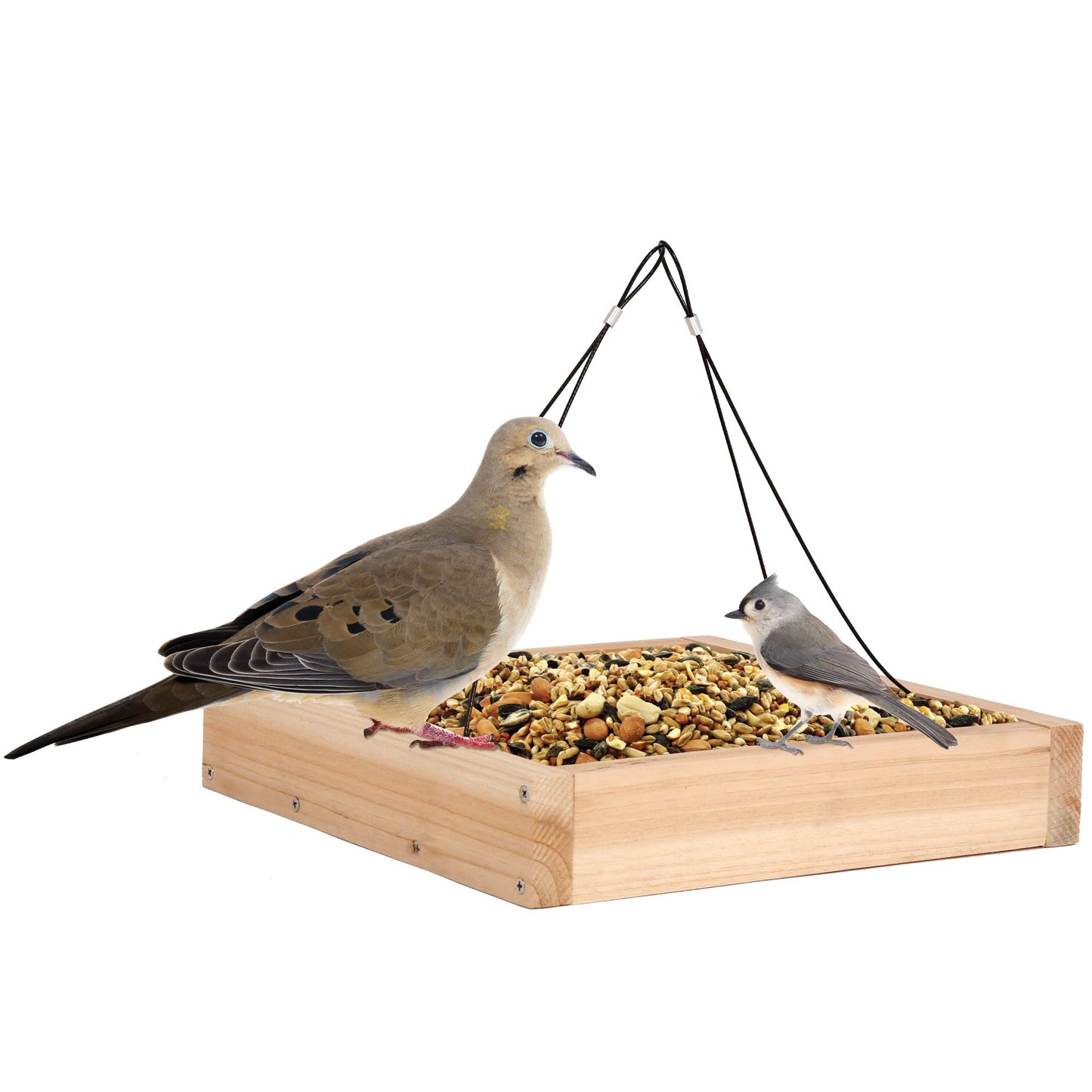 Wild Wings WWCF23 Rot Resistant Cedar Hanging Tray Bird Feeder with Fresh Seed Tray, Platform Feeder for Outdoor Wild Bird Seed Feeder and Décor, Wood