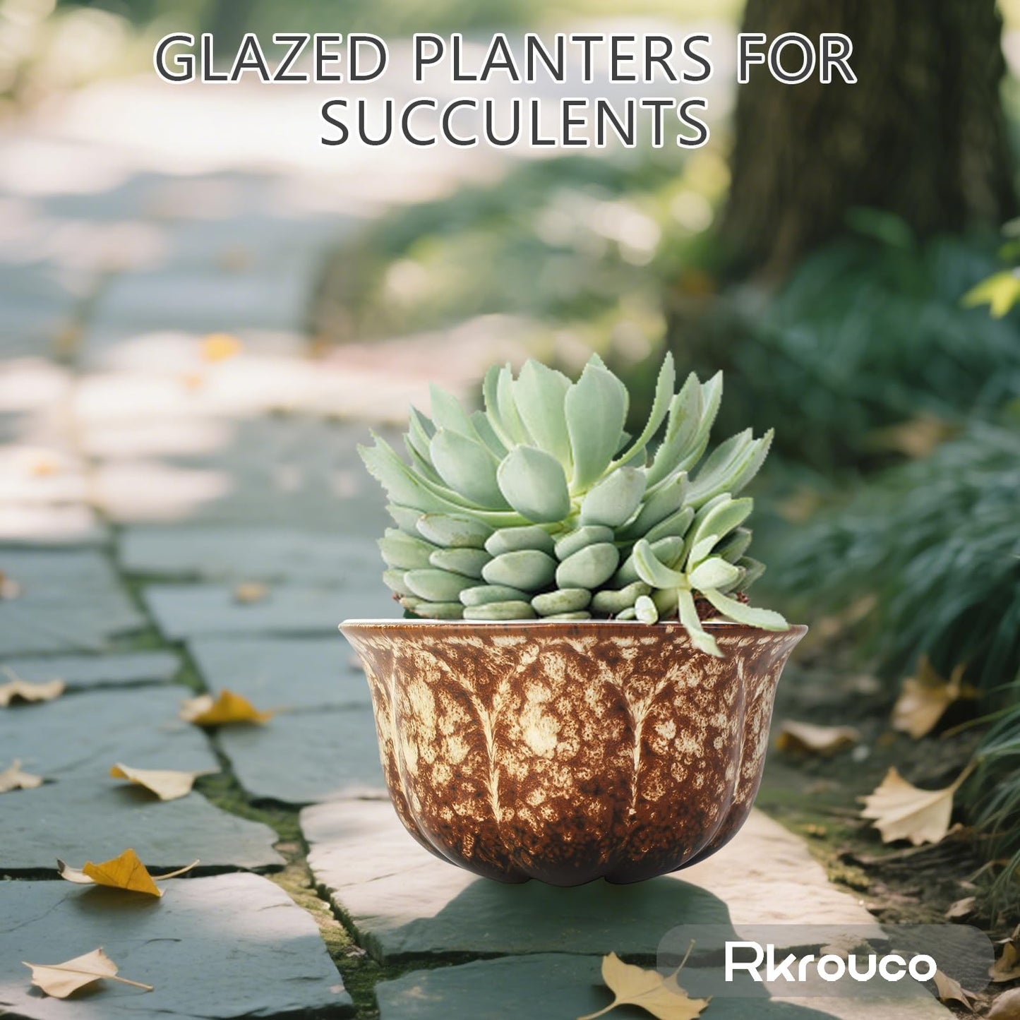 Rkrouco Ceramic Plants Pots 3 Inch Set of 4 Flower Pots with Drainage and Bamboo Tray for Indoor/Outdoor Small House Plants,Foliage Plant