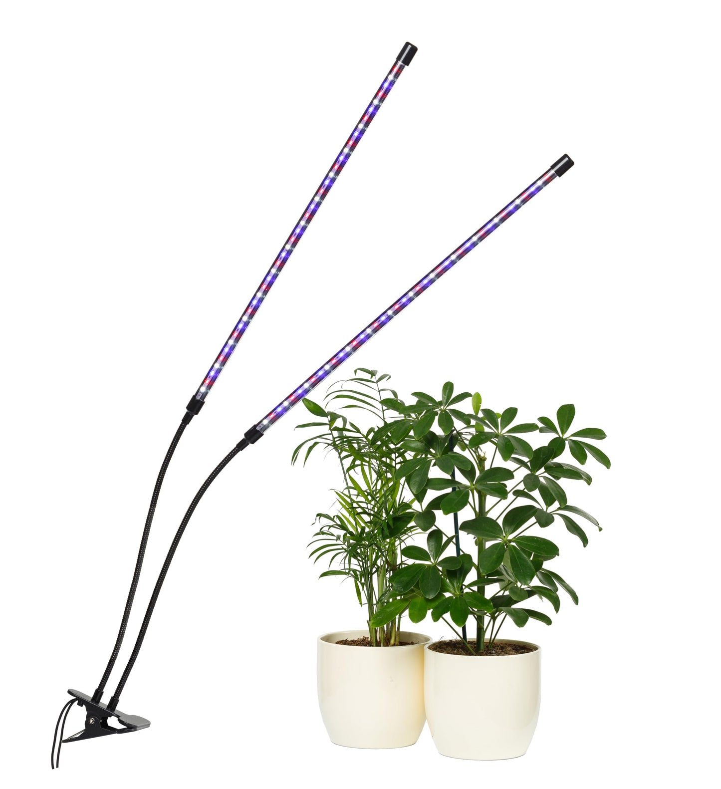 CARPATHEN Dual-Strip LED Grow Light with Flexible Gooseneck, 20” Full Spectrum, Adjustable Brightness & Timer, Targeted Lighting for Seedlings & Indoor Plants