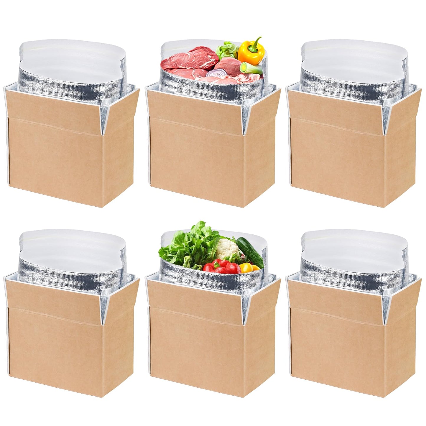 Acrridi 6 Pack Heavy Duty Insulated Shipping Boxes with Foil Liners, 9.4''x5.5''x6.9'' Small Cooler Box for Food Delivery, Reusable Thermal Mailing Kit for Perishable Goods, Vegetables, Meat, Cheese
