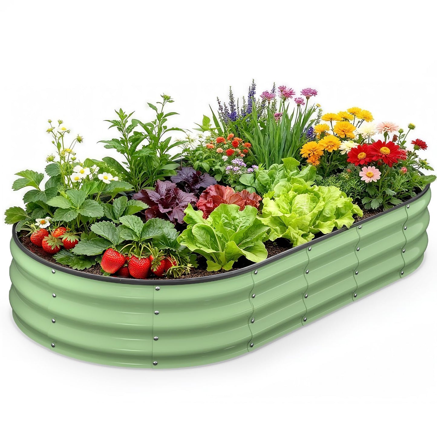 Yumatum Raised Garden Bed 6×3×1 FT, Galvanized Raised Planter Box, Oval Vegetable Planting Container with Safety Edge Trim, Fruit Green for Backyard Fence Line Side Yard Family Gardening
