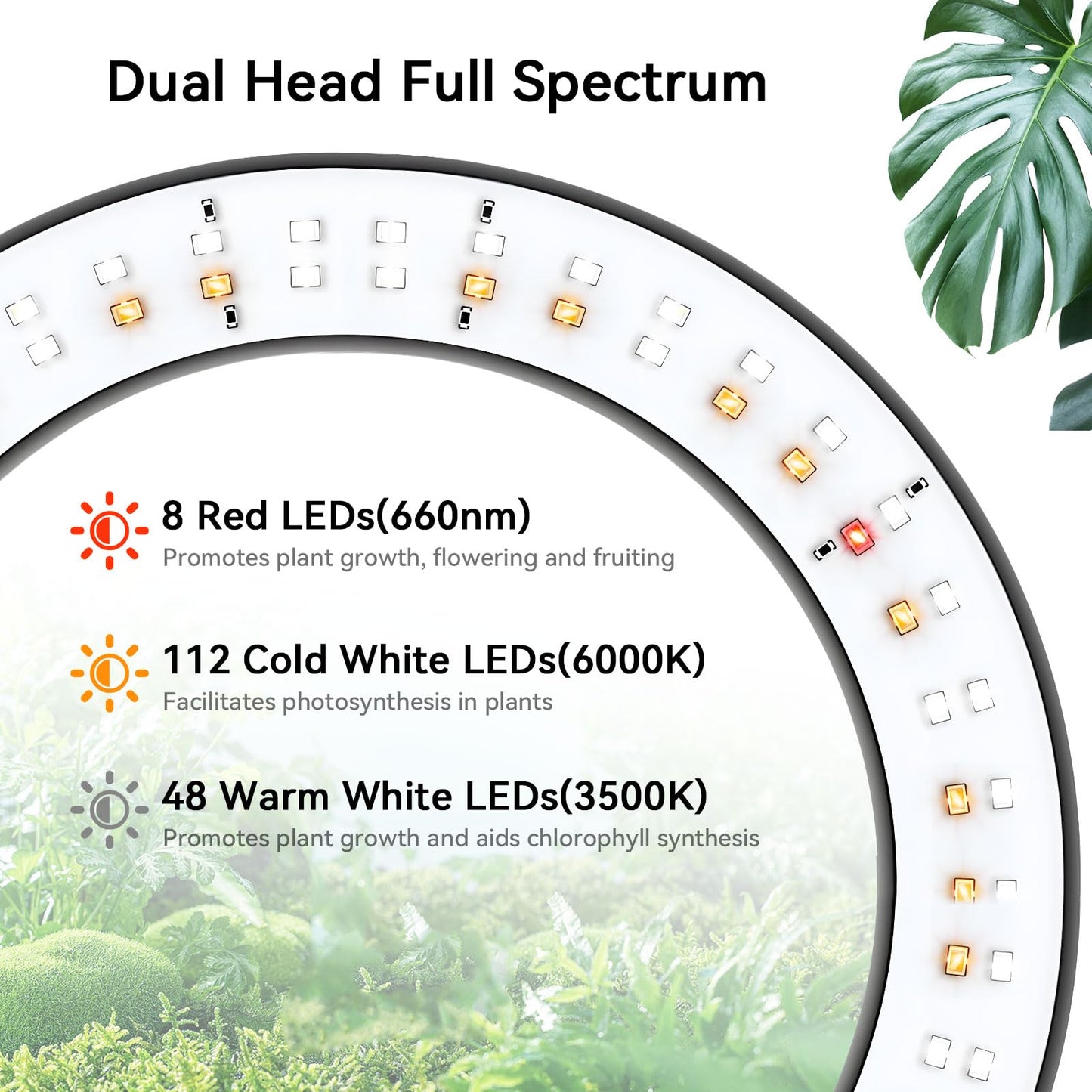 Dual-Head Grow Lights for Indoor Plants, Full Spectrum Plant Lights with 23.5-67" Adjustable Height Stand, 3 Growing Modes with Timer 3/9/12H, Dimmable Halo Grow Lights for Large Tall Plants