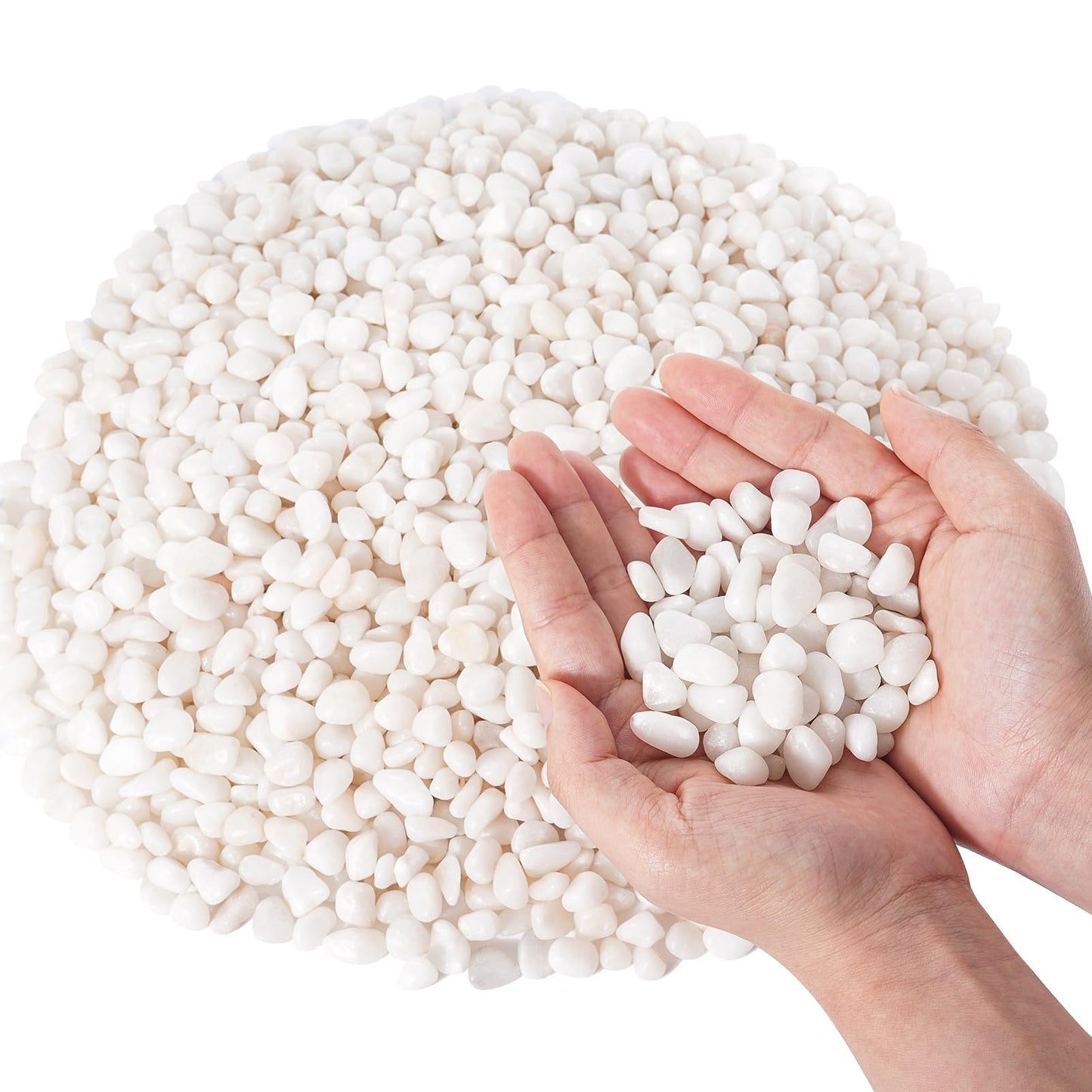 GreatBuddy 10-lb Decorative Rocks for Indoor Plants, 3/8" White Pebbles, Small Rocks for Potted Plants, Succulent, Vases, Aquariums, Fish Tanks, Garden Landscaping, Natural Polished