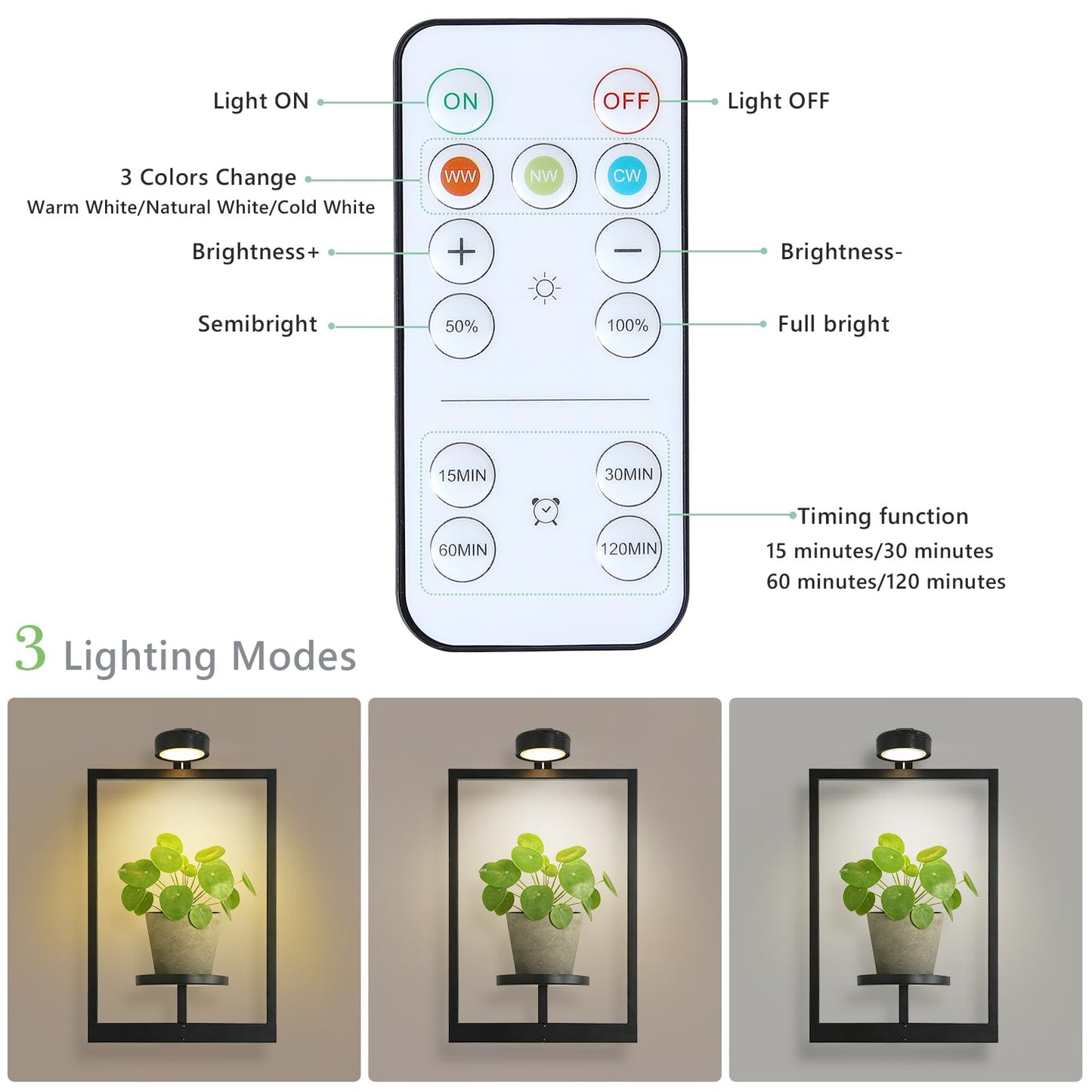 Wall Planters for Indoor Plants，Wall Plant Holder with ‌Remote-Controlled Lights，Hanging Planters for Indoor Plants Window Plant Shelves 3 Pack Plant Hanger for Living Room Entryway（Bulbs Included）