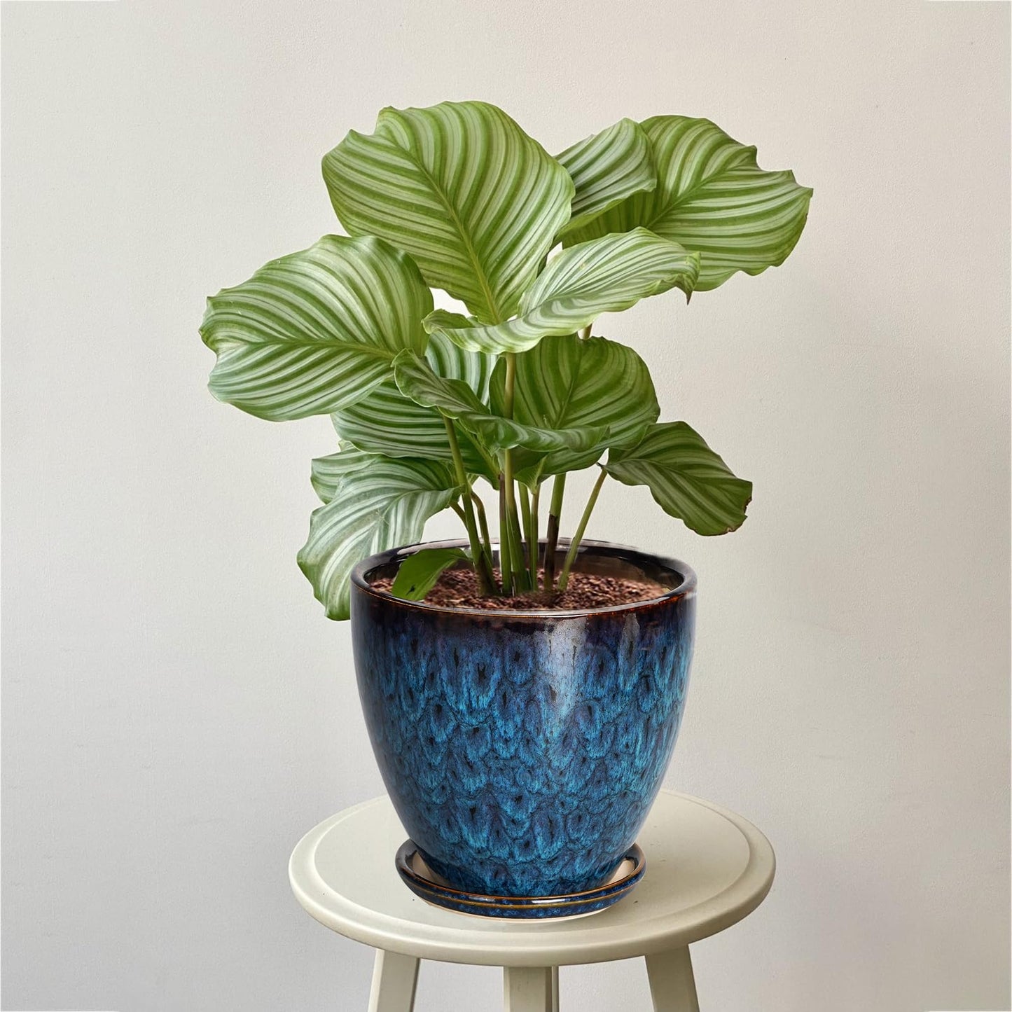 EPFamily Ceramic Plant Pot, 6.3 Inch Ceramic Planter Pot with Drainage Hole and Saucer, Succulent Round Flower Pot for Indoor Plants Outdoor, Blue