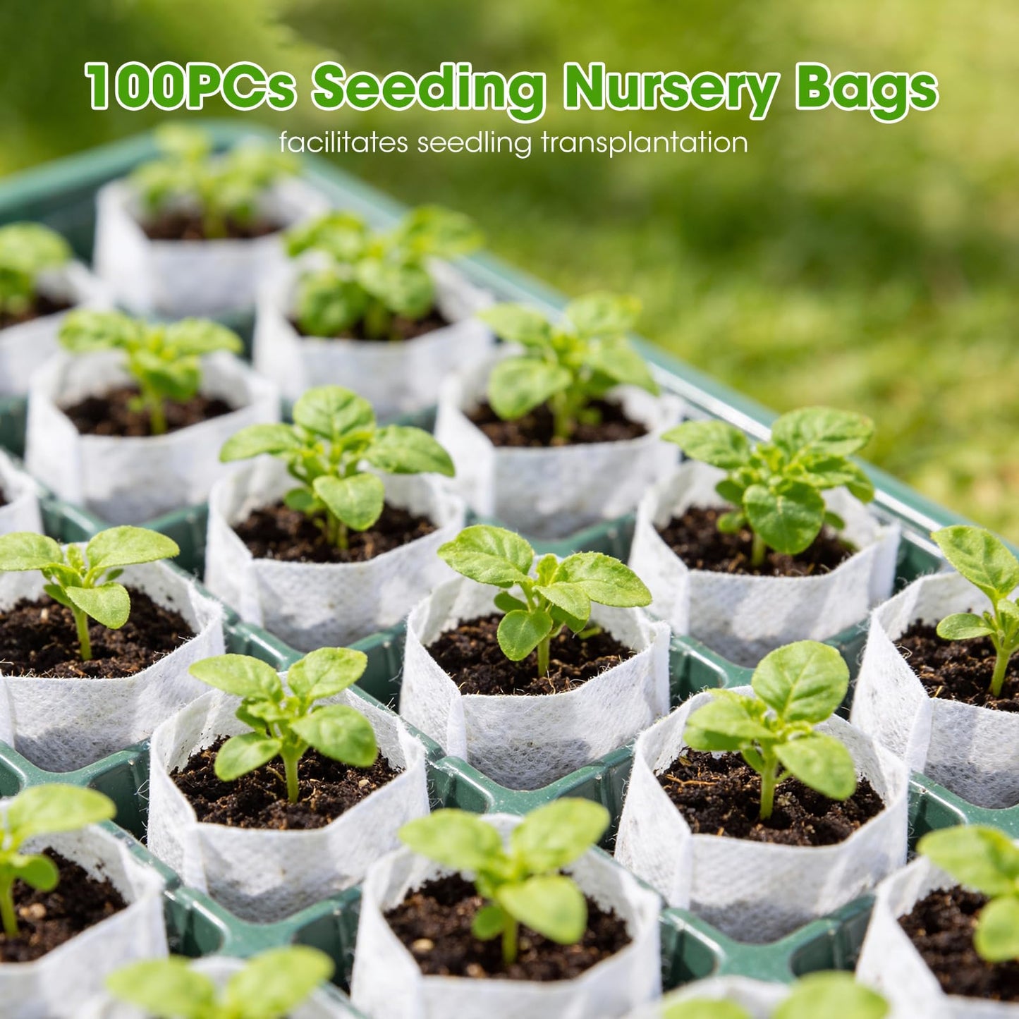 Seed Starter Tray with Grow Light, 2 Pack 80-Cell Seedling Starter Kit with Smart Timer & Humidity Dome, Indoor Plant Germination Kit with 100pcs Nursery Bags & 2-in-1 Sprinkler for Seed Starting