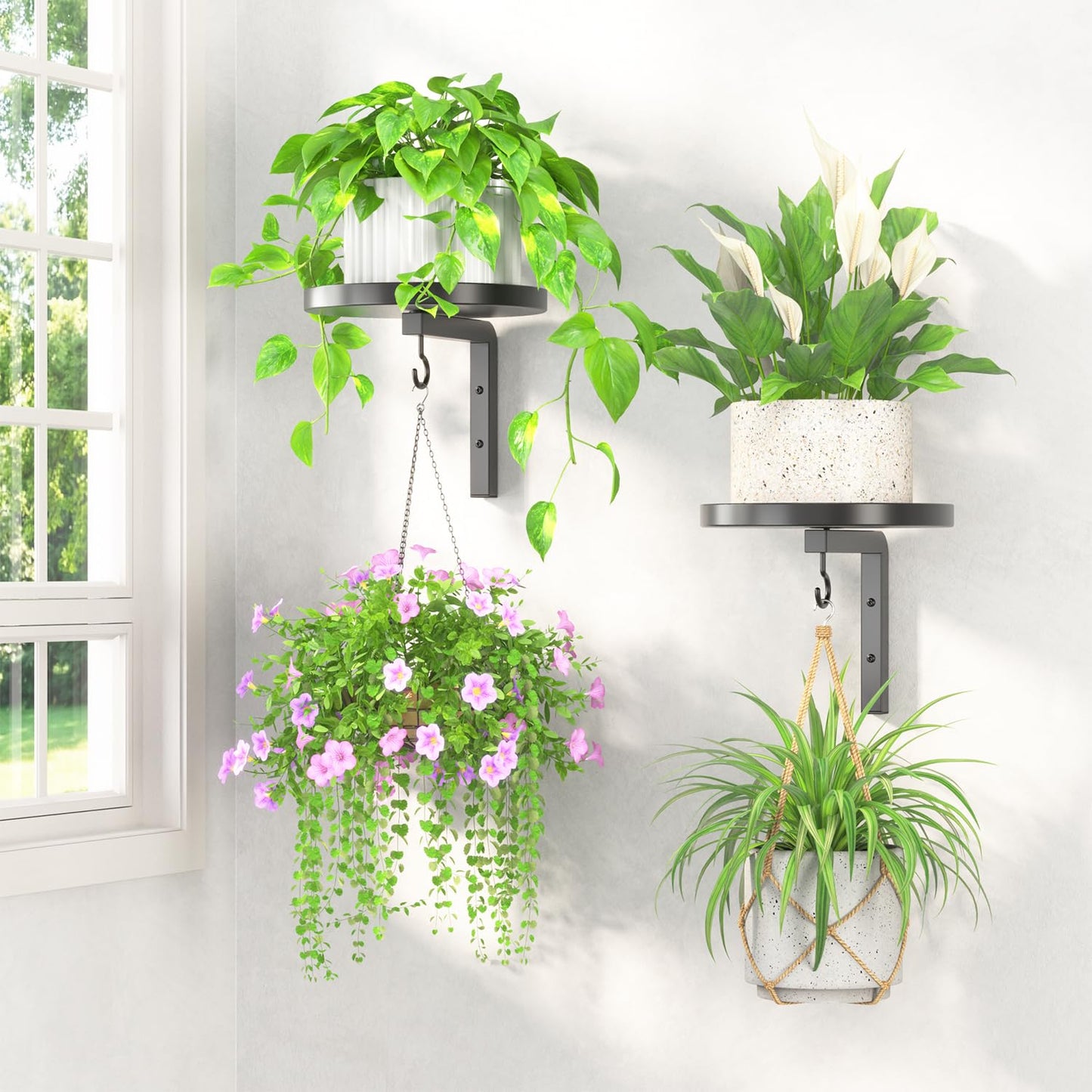 LASZOLA Plant Hangers Shelves Wall Mounted Indoor, Metal Window Plant Holders, 2Pcs Modern Floating Flower Display Stand with 2 Hooks for Outdoor Kitchen Bathroom Decor, Black