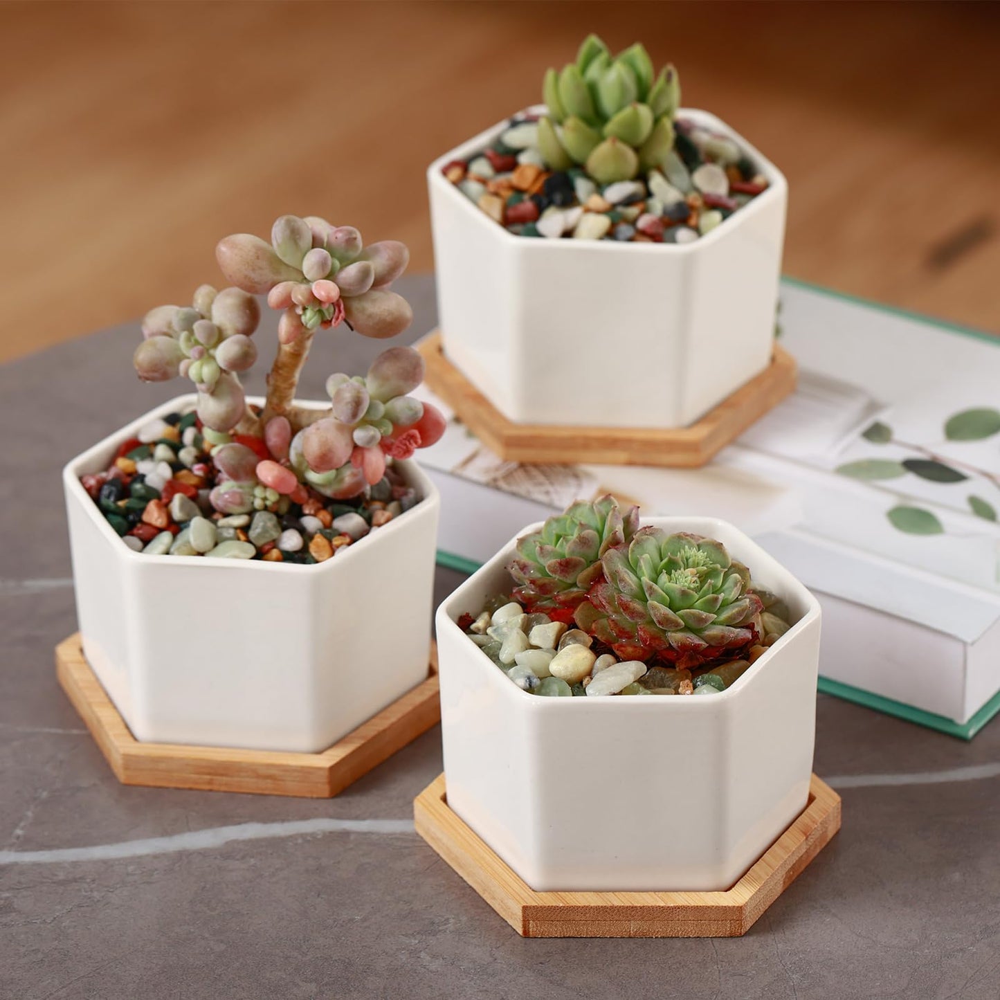 18 lbs Succulent and Cactus Bonsai Pebbles, 6-9mm Decorative Landscaping Polished Stones Natural Garden Gravel Rocks for Indoor Outdoor Plants Aquariums DIY, and Gardening Top Dressing, Jade Green