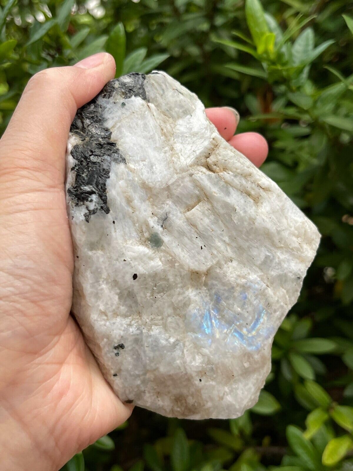 GAF TREASURES XL Raw Rainbow Moonstone, Rainbow Moonstone Rough, Rainbow Moonstone Healing Rough Crystal (Rainbow Moonstone, 0.5-1 lb)