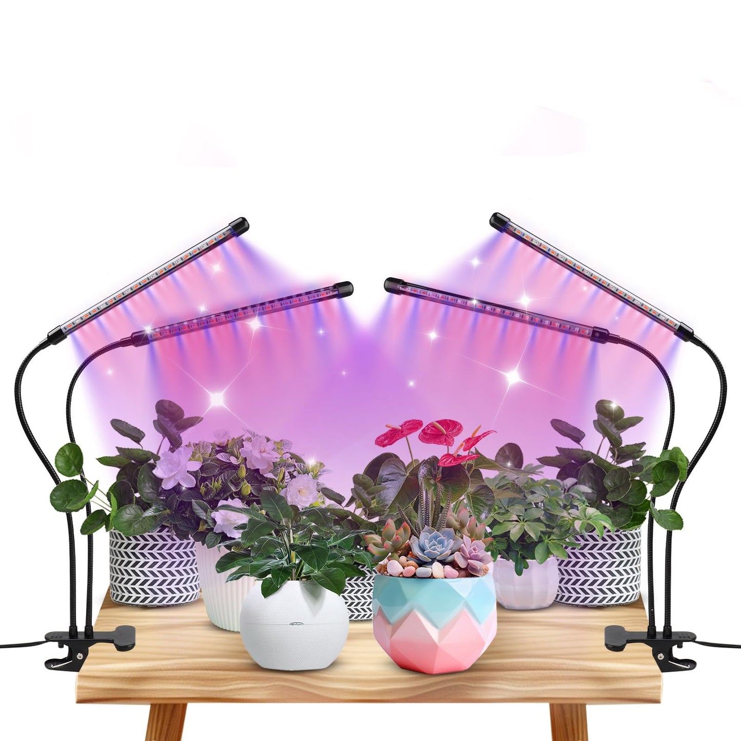 Grow Lights for Indoor Plants - Red & Blue Spectrum LED Plant Light with Auto 3/9/12H Timer, 10 Dimmable Levels & Sturdy Gooseneck - Ideal for Herbs, Succulents, Houseplants in Home/Office