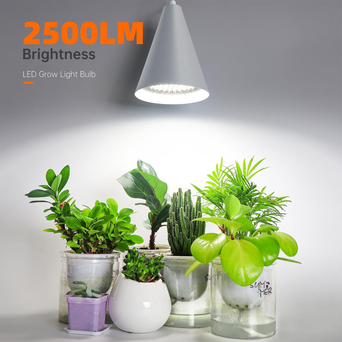 Bstrip Hanging Grow Lights for Indoor Plants-25W Full Spectrum 5000K Plant Light with 4H/9H/14H Timer& 16.4FT Power Cord for Indoor Growing, Ideal for Large Tall Plant, Garden and Flowers Greenhouse