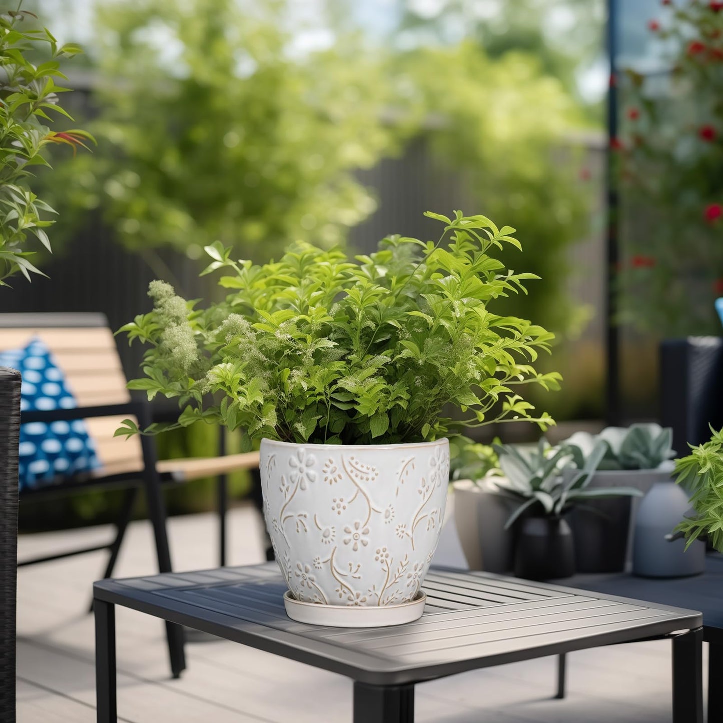 MPotTo 6 Inch Ceramic Plant Pot for Indoor Plants Outdoor Round Planter Flower Pot with Drainage Hole and Saucer for Home Garden Office Decor White