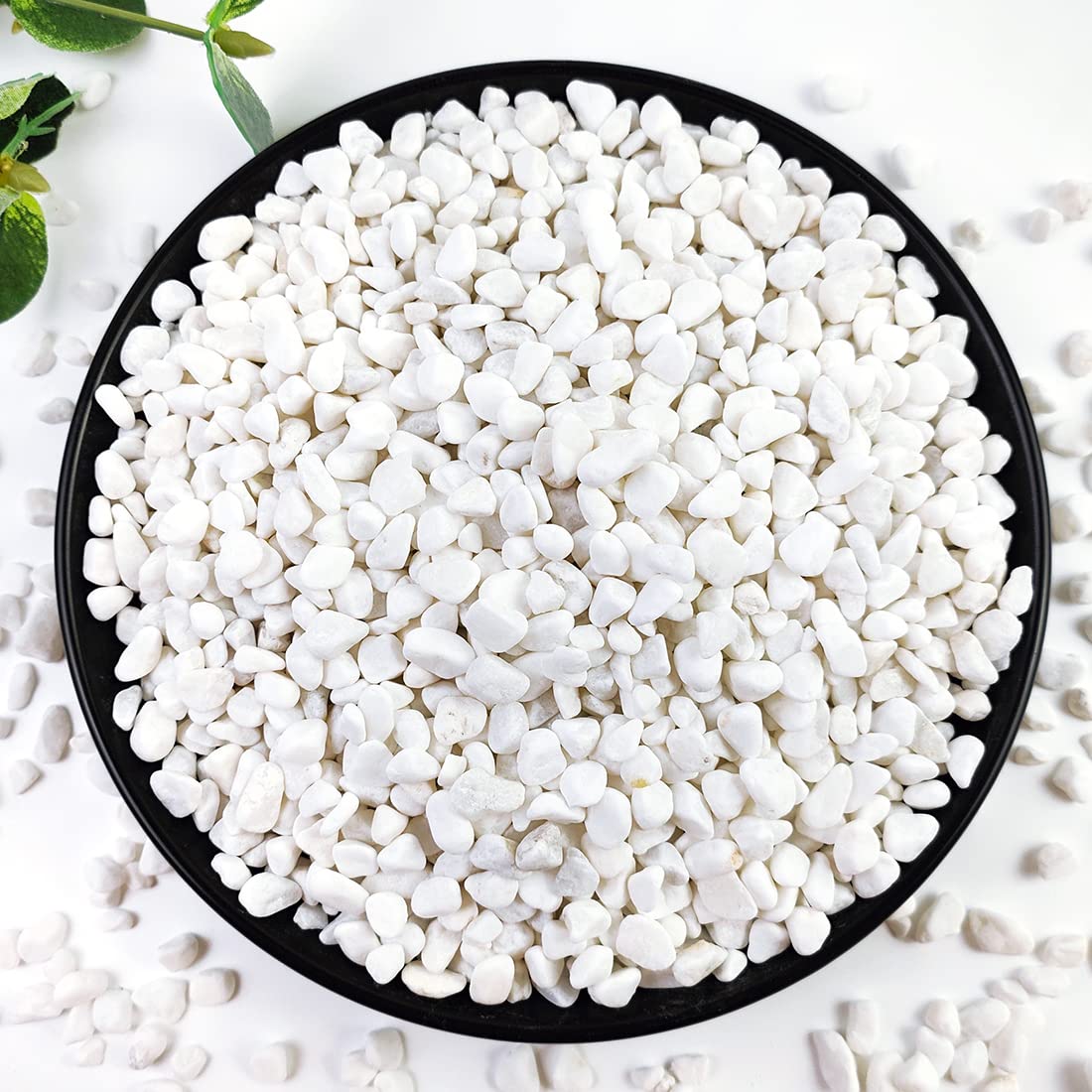 YISZM 5LB Succulent and Cactus Gravel Pebbles, 1/5 Inch White Natural Decorative Polished Stones, River Rocks for Plants, Vases, Aquariums, Terrarium and Outdoor Gardening