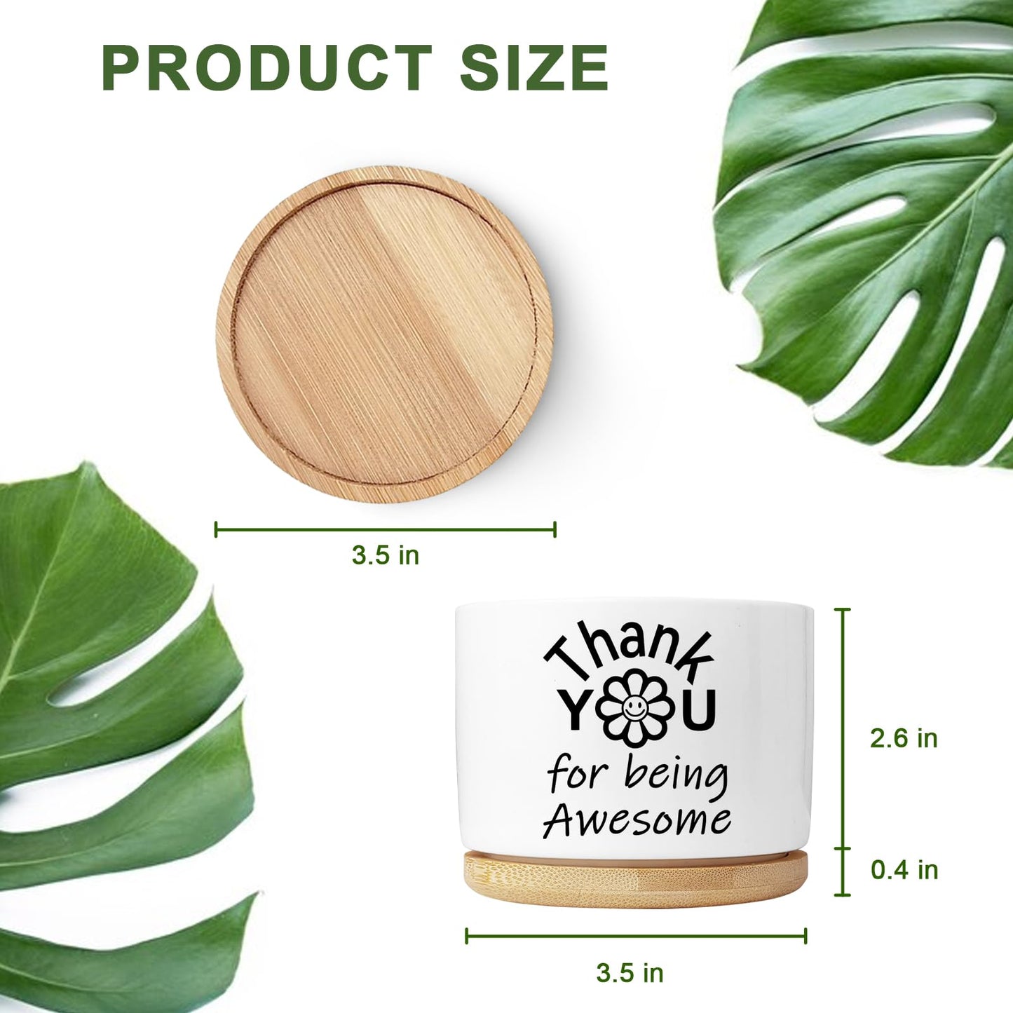 Aryabtya Thank You Gifts for Women, Succulent Planter, Flower Cactus Plant Pot, Employee Appreciation Gifts for Coworkers Nurse Friends Women, Thank You for Being Awesome (No Plants)
