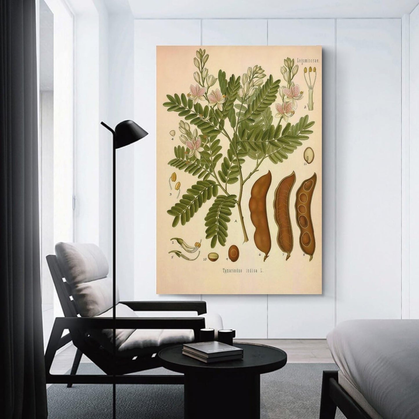 Tamarind Tree Plant Knowledge Poster Canvas Wall Art Posters For Room Aesthetic And Decor Poster For Bedroom Living Room Bathroom Kitchen Office Decor 24x36inch(60x90cm) Unframe-style