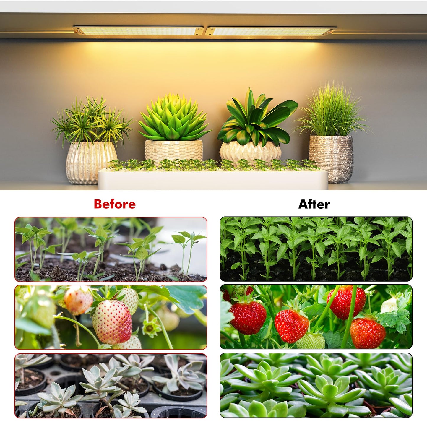 Grow Light, Full Spectrum Grow Lights for Under Cabinet Plant, Grow Lamp with 3/9/12H Auto On/Off Timer for Hydroponics, Seedlings, Succulents, Veg, Flowers, Succulents & More, 2-Pack ﻿