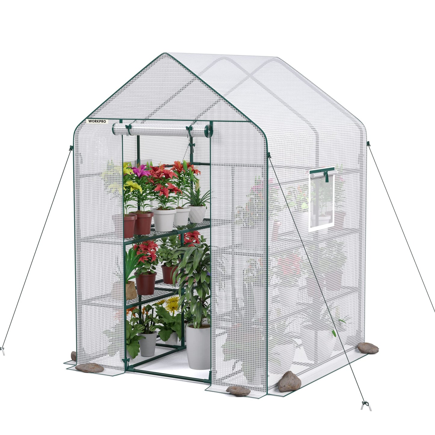 WORKPRO Greenhouse, 56” x 56” x 77” Heavy Duty Walk in Greenhouses for Outdoors with Screen Windows, Thicken PE Cover, 3 Tier 8 Shelves Portable Green House Kit for Patio, Backyard and Porch