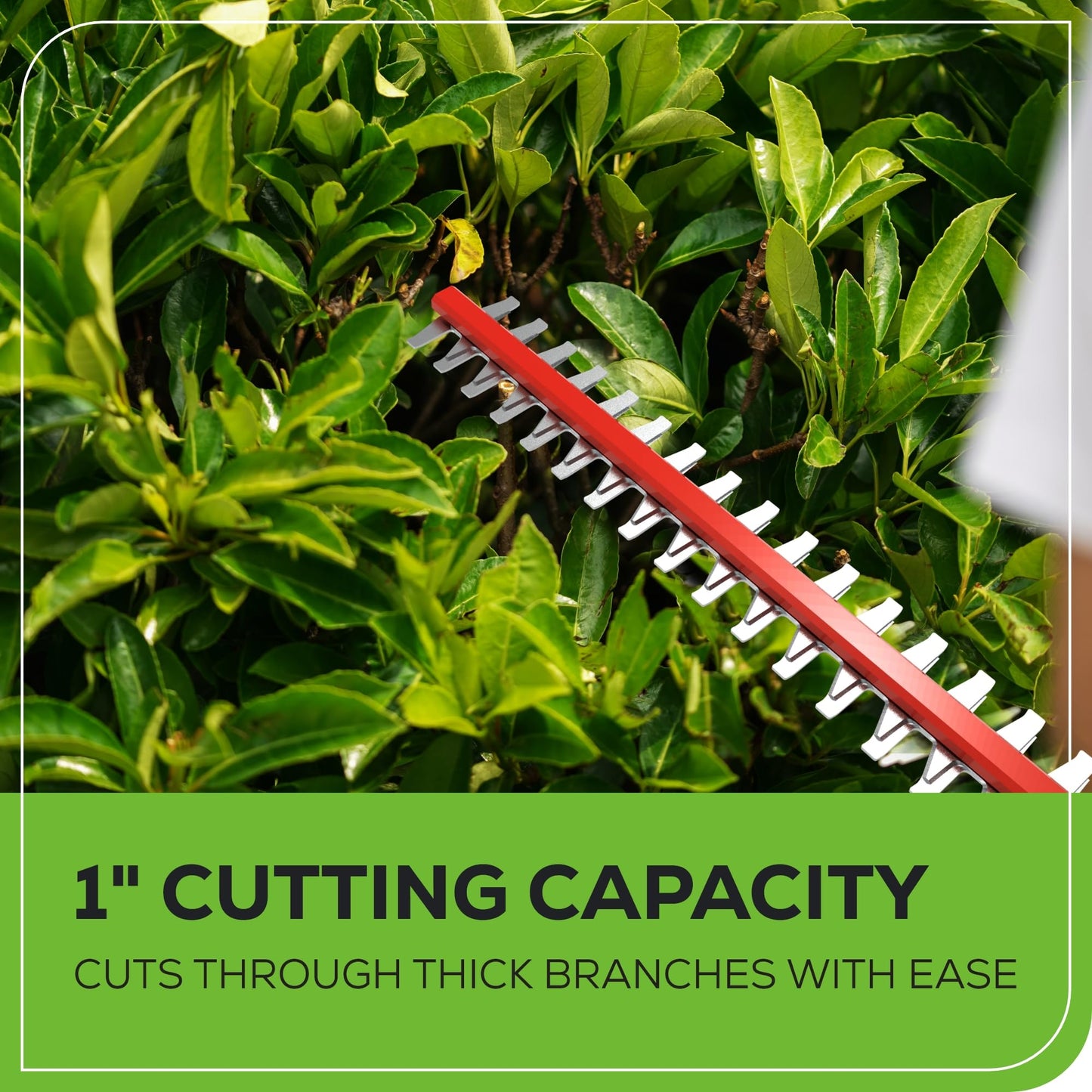 Greenworks 40V 20" Cordless Pole Hedge Trimmer, 2.0Ah Battery and Charger Included
