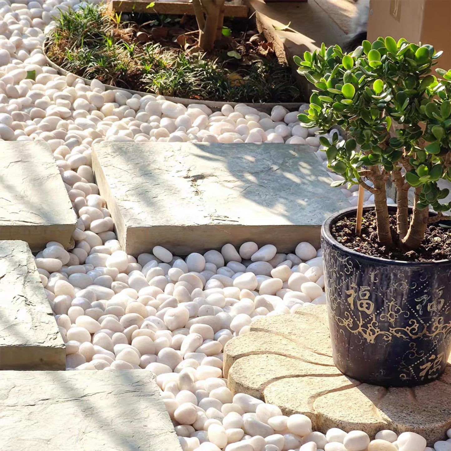 FANTIAN 5lbs White Pebbles for Indoor Plants, 0.8-1.2 Inch Smooth White River Rocks for Potted Plants, Decorative Polished Stones for Landscaping Vase Fish Tank and Outdoor Garden Pavers