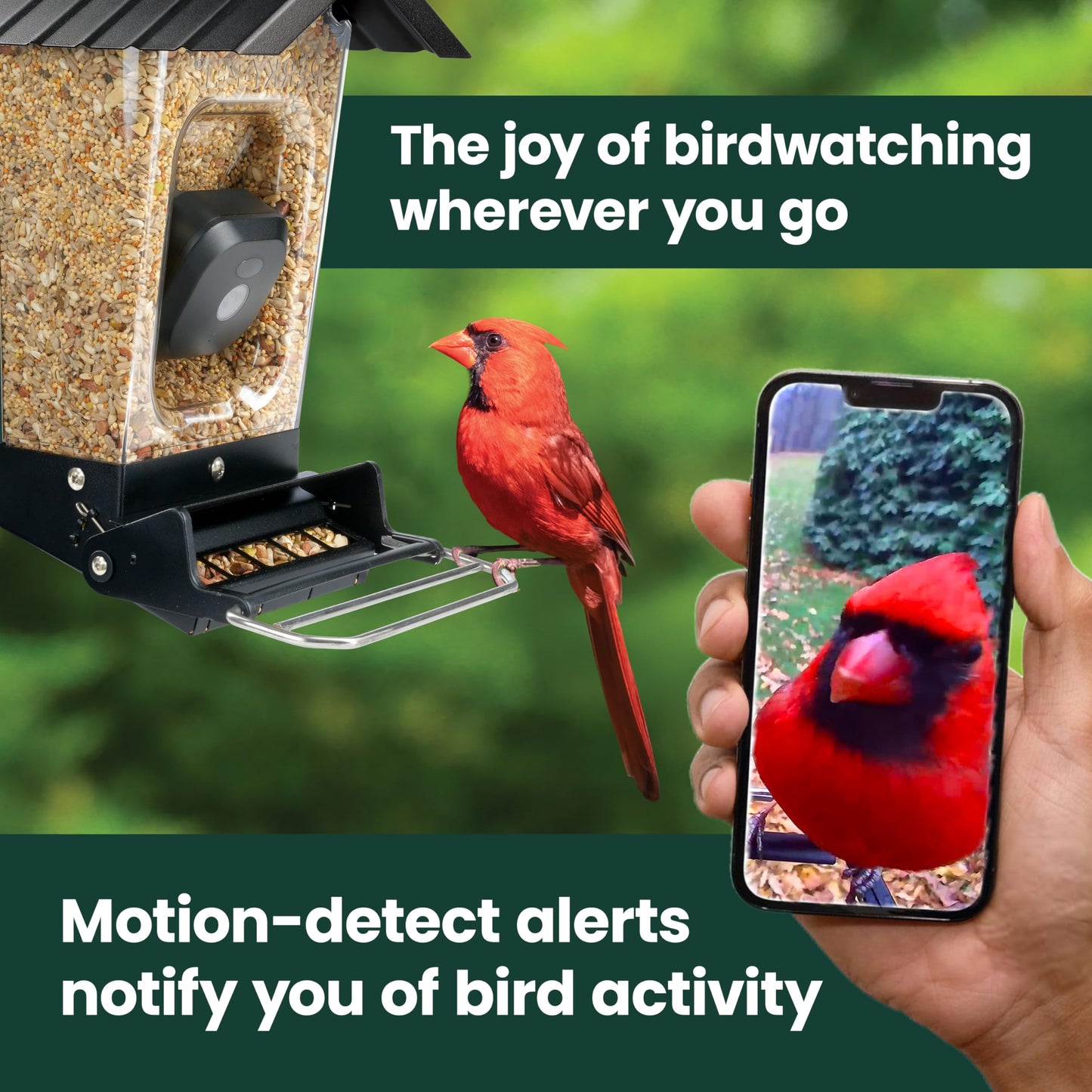 Perky-Pet Solar Powered Smart Bird Feeder with Camera - Squirrel-Resistant, 3.2L Capacity, Motion Activated 1080p HD WiFi Live Stream Camera, SPCAM, SPCAMSLR - Camera Feeder Gift Idea, Forest Green