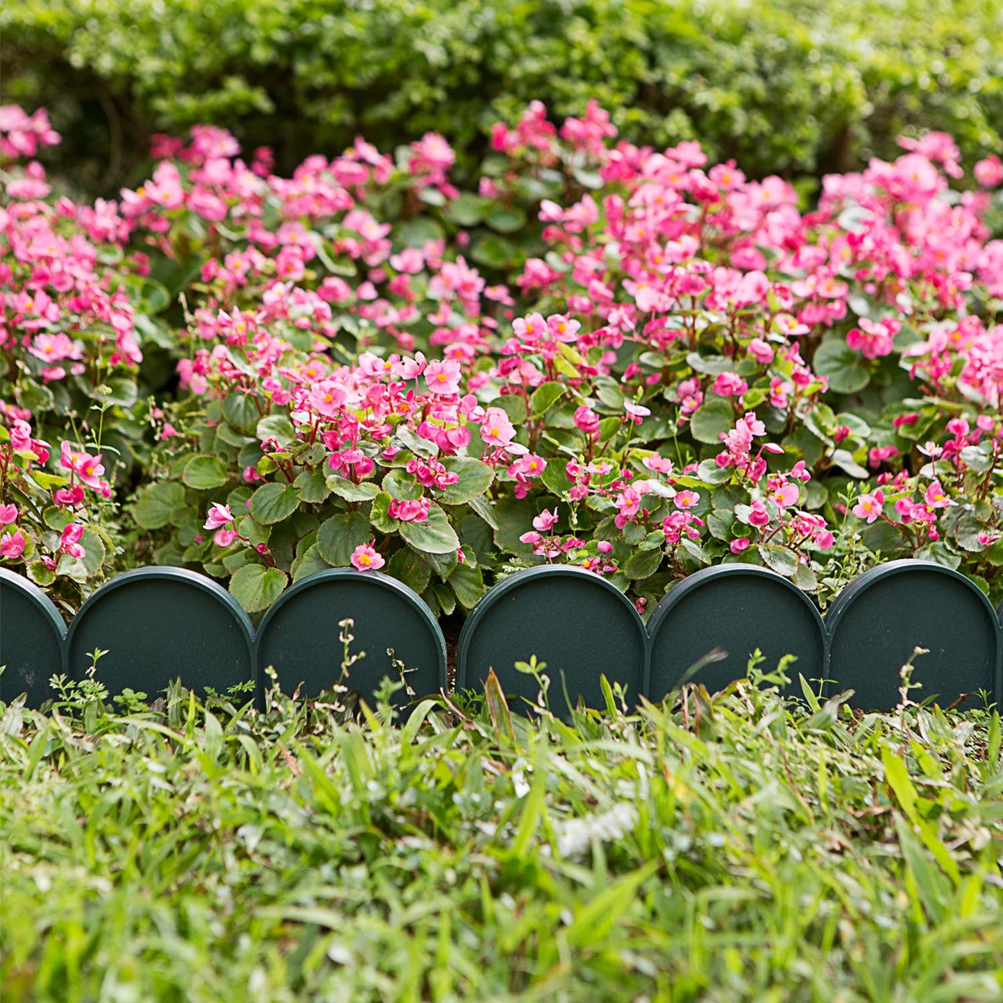 Evelyne Garden Border Edging in Half Round (Semicircle) Arched Design - 15pcs Green Yard Landscaping Fence Liner Lawn Edge Barrier - 20ft. Kit of Decorative Lawn Landscape Panels Elements
