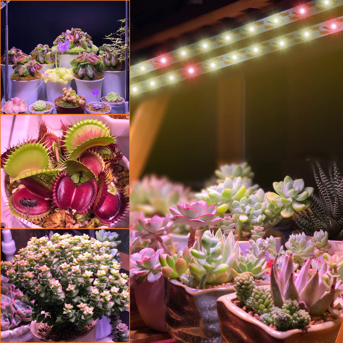 Grow Light Strip Waterproof Grow Lights for Indoor Plants Full Spectrum Plant Grow Lights Indoor with Auto ON/Off Timer White Red 120 LEDs Sunlike Grow Lamp for Plant Light for Indoor Plants (1)