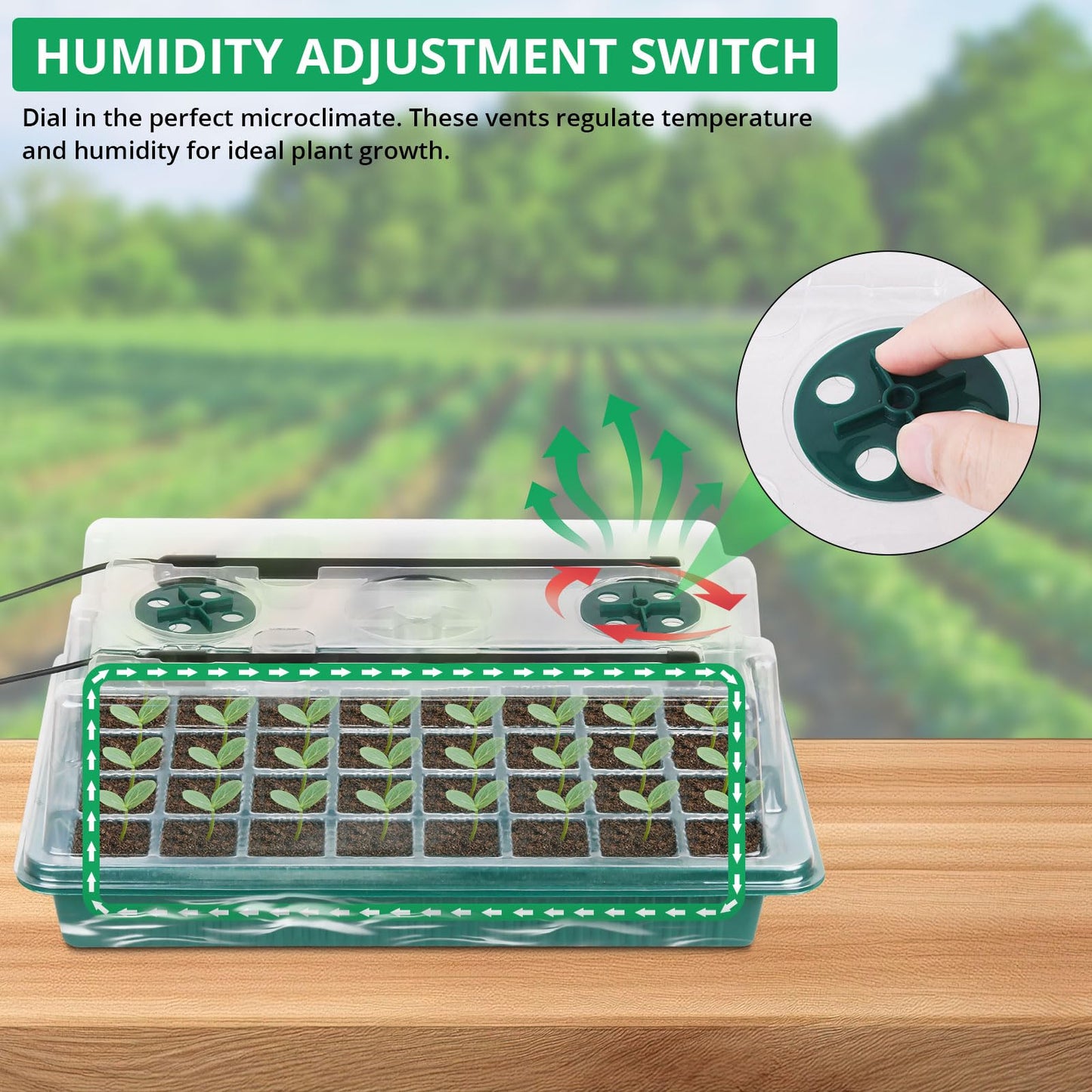 Sondiko Seed Starter Tray with Grow Light, 80 Cells Seed Starter Kit with Humidity Dome, Adjustable Brightness Plant Starter Trays, Indoor Plants Germination Kit(2 Pack)