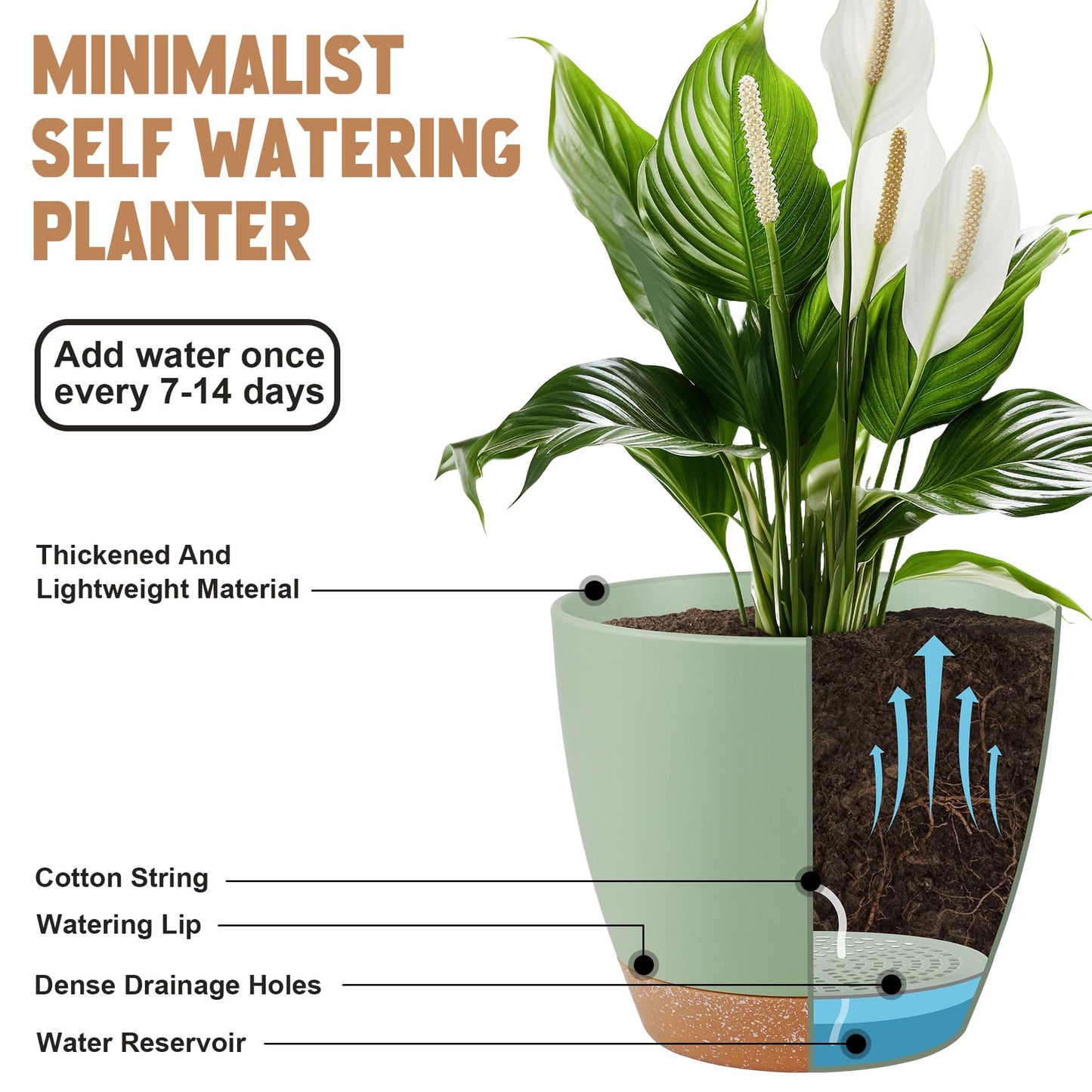 QRRICA Plant Pots 8/7/6.5/6/5.5/5 Inch Self Watering Pots, Set of 6 Plastic Planters with Drainage Holes and Saucers,Plastic Flower Pots,Nursery Planting Pot for Indoor Out Door Plants（Green）