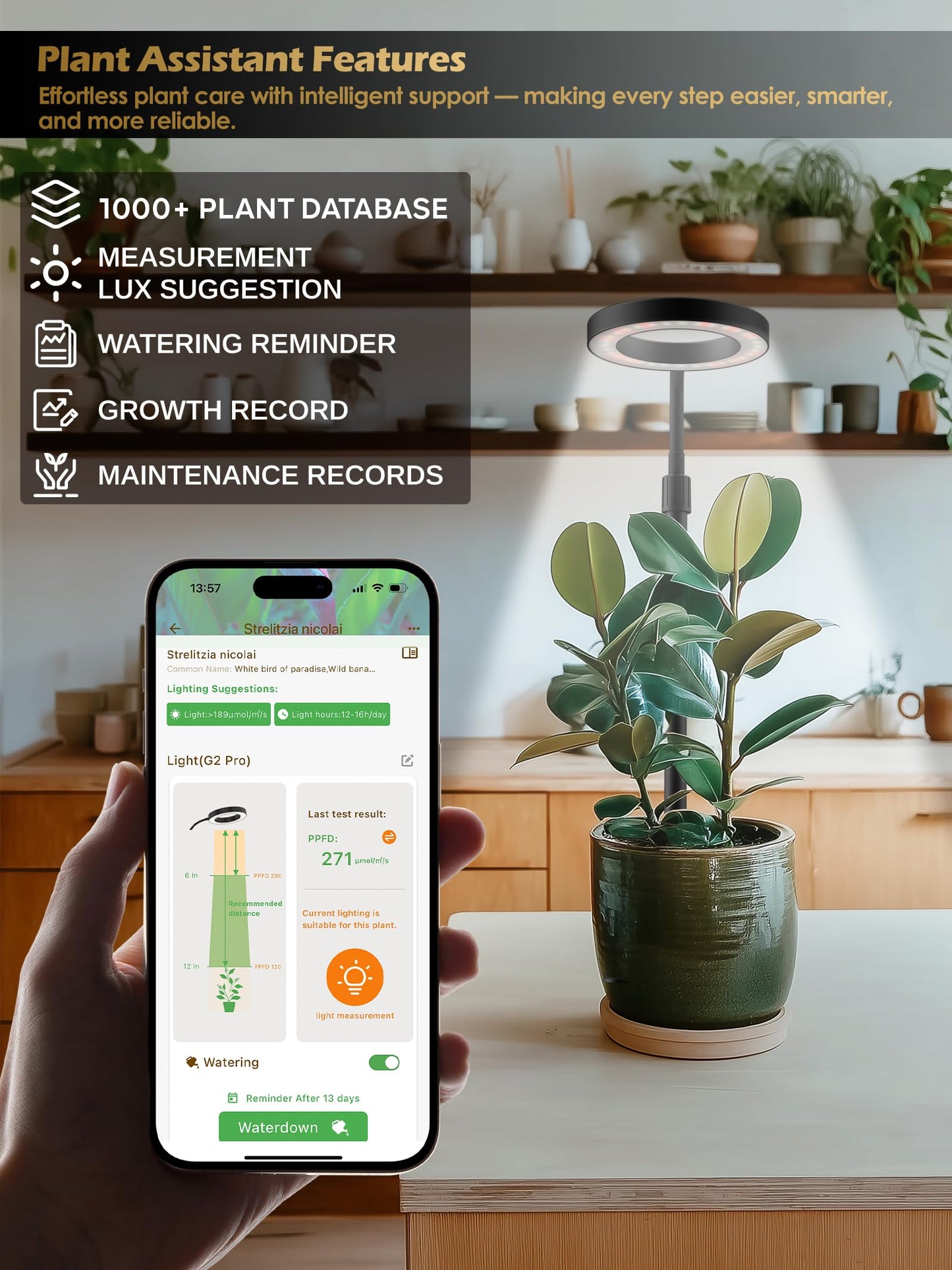 Smart Grow Lights for Indoor Plants, Plant Light with Auto-Timer, Full Spectrum LED Grow Light, Adjustable Height & Stepless Dimming,Plant Assistant Suitable for Most Plants (Black(Desktop2))