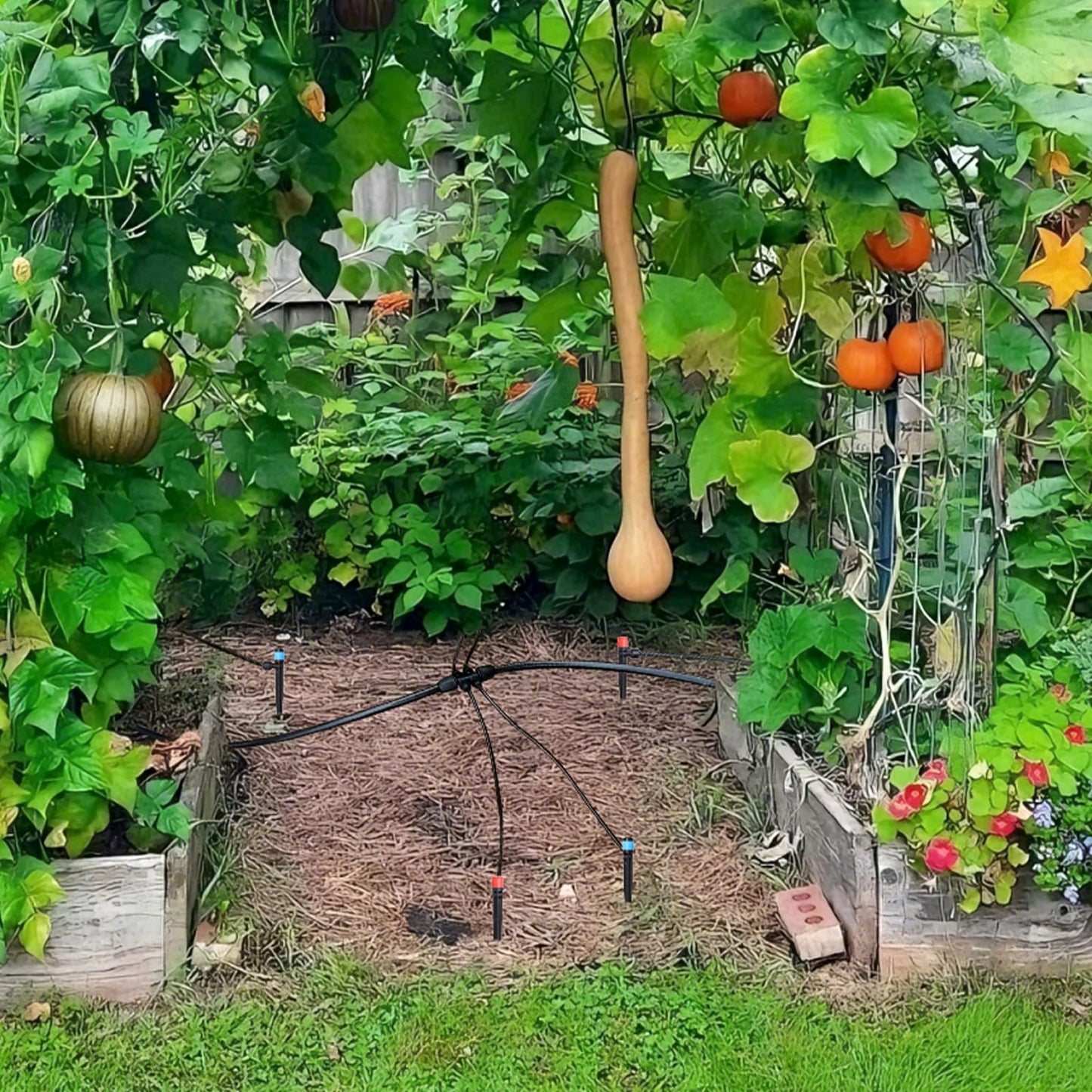 Drip Irrigation System, Automatic Garden Watering Kit, Quick-Connect Watering Misting Drip Irrigation System for Greenhouses,Yards,Lawns,Raised Beds,with 98ft 1/4''& 49ft 1/2" Tubing and Accessories