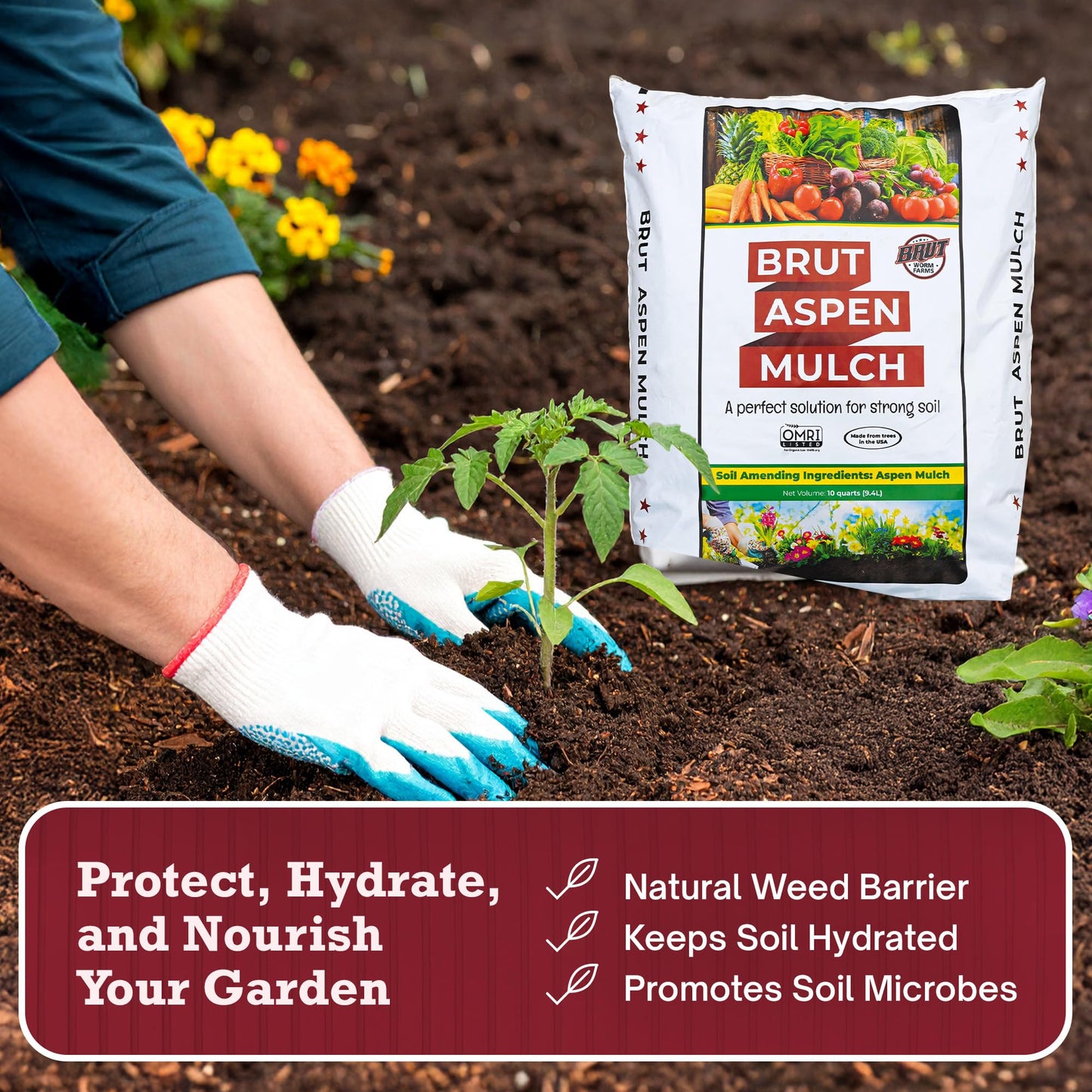 Brut Organic Aspen Mulch 10 QT – Natural Moisture Retainer & Root Protector – Odor-Free, Nutrient-Rich Bark Mulch for Landscaping, Garden Beds & Potted Plants
