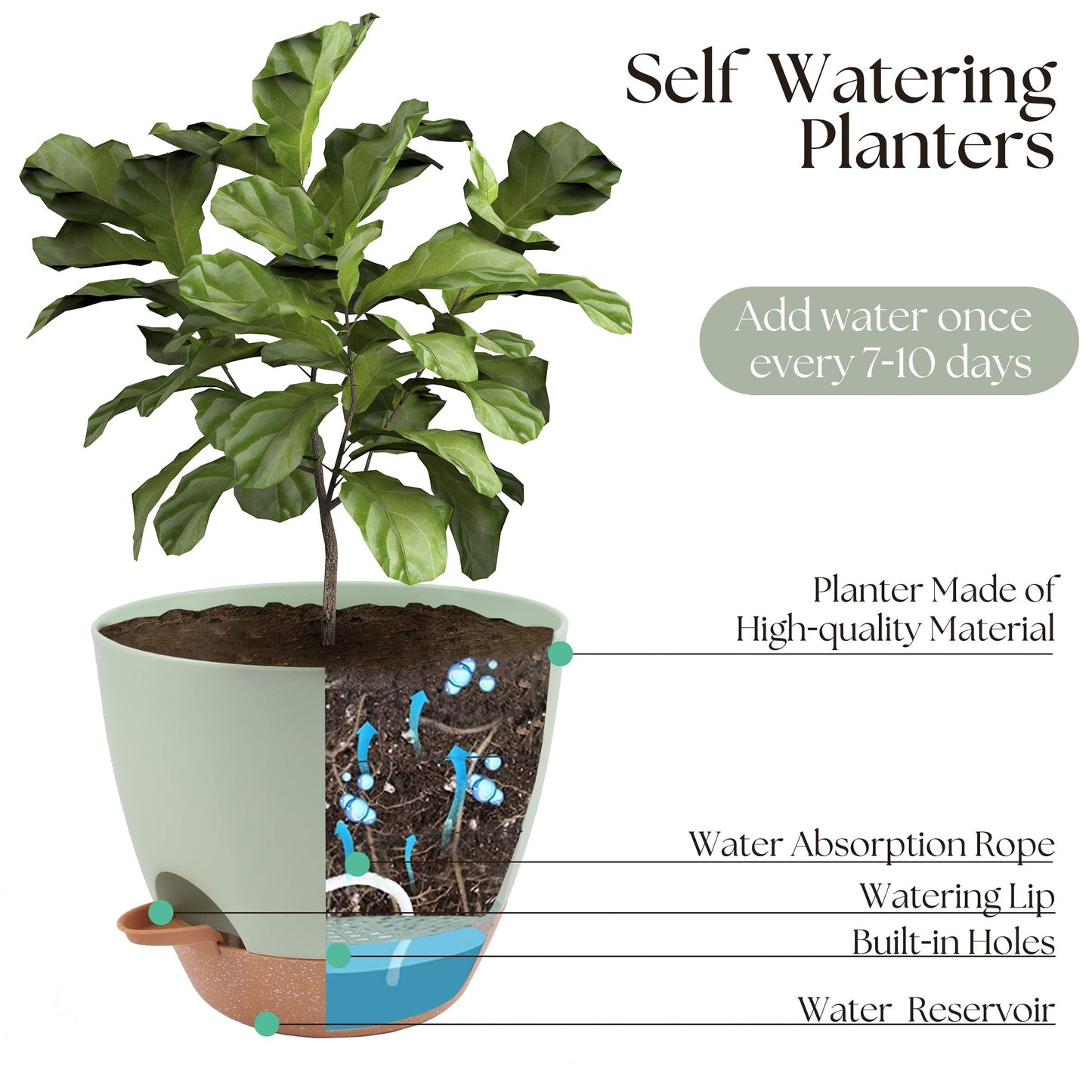 TYMENSH Plant Pots 12/10/9 inch Set of 3, Self Watering Flower Pots Indoor Outdoor, Planters with Drainage Hole Saucer Reservoir, Green
