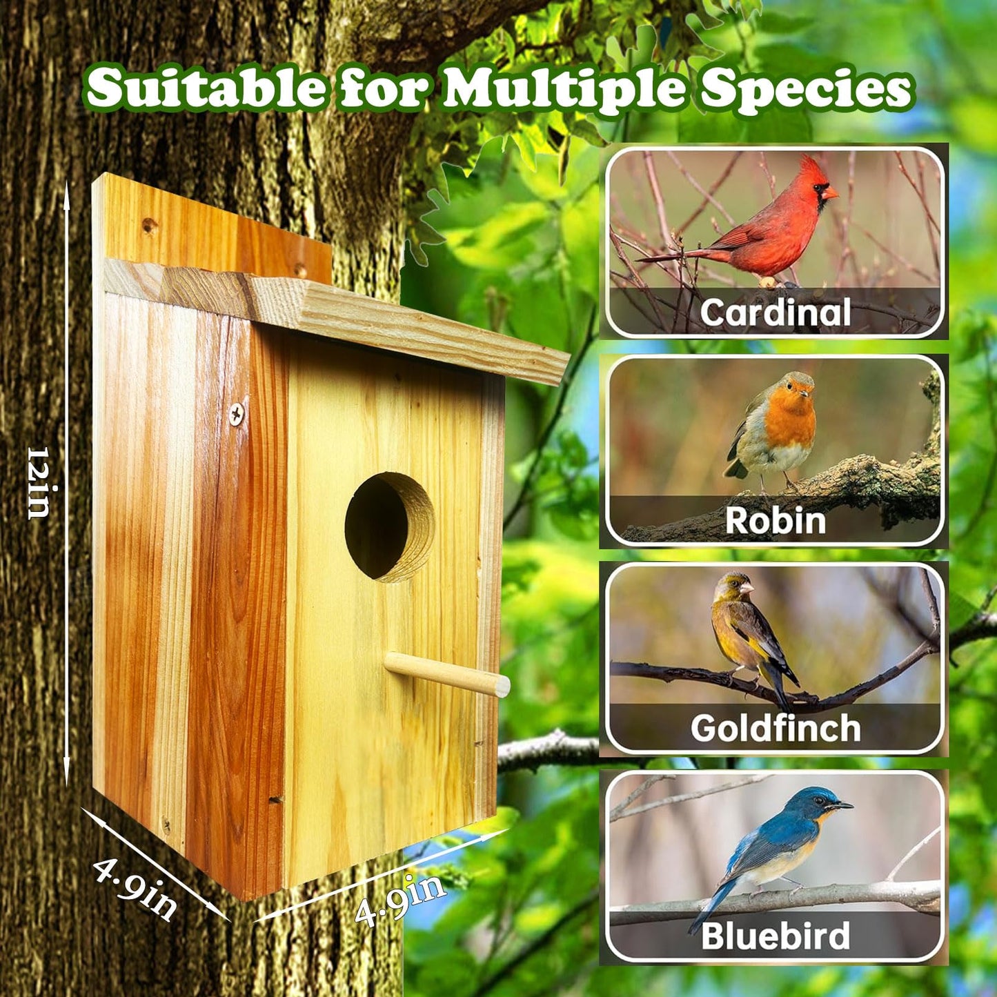 LENEDI Bird House, Wood Bird Houses for Outside, Cedar Birdhouse for Outdoors, Bluebird Houses for Outside, Waterproof Birdhouse for Wren Bluebirds Finches Swallows, Assembling Need