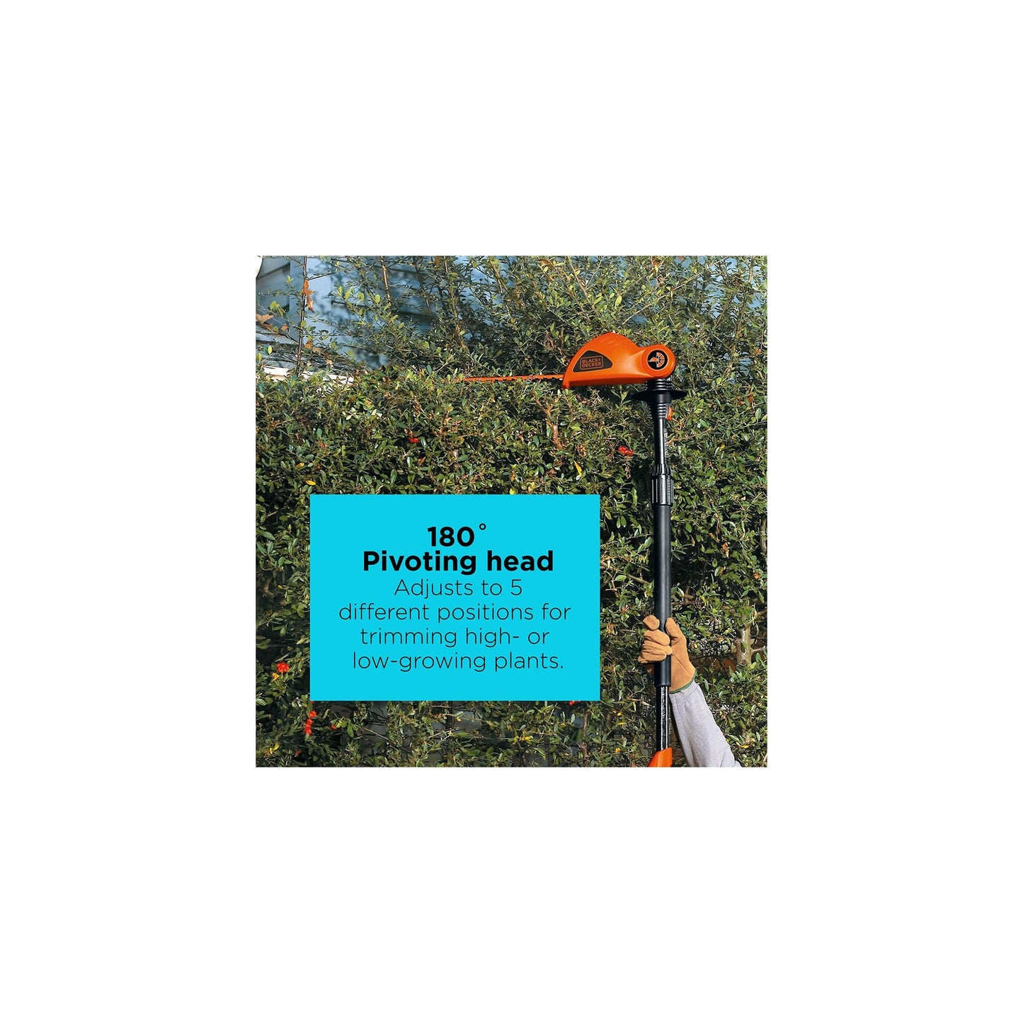 BLACK+DECKER 20V MAX Pole Hedge Trimmer Cordless with Battery and Charger, 18-Inch Dual Action Blade Power Hedge Trimmer, Extended Long Reach Hedger Up to 11 Ft, 180 Degrees Pivoting Head (LPHT120)