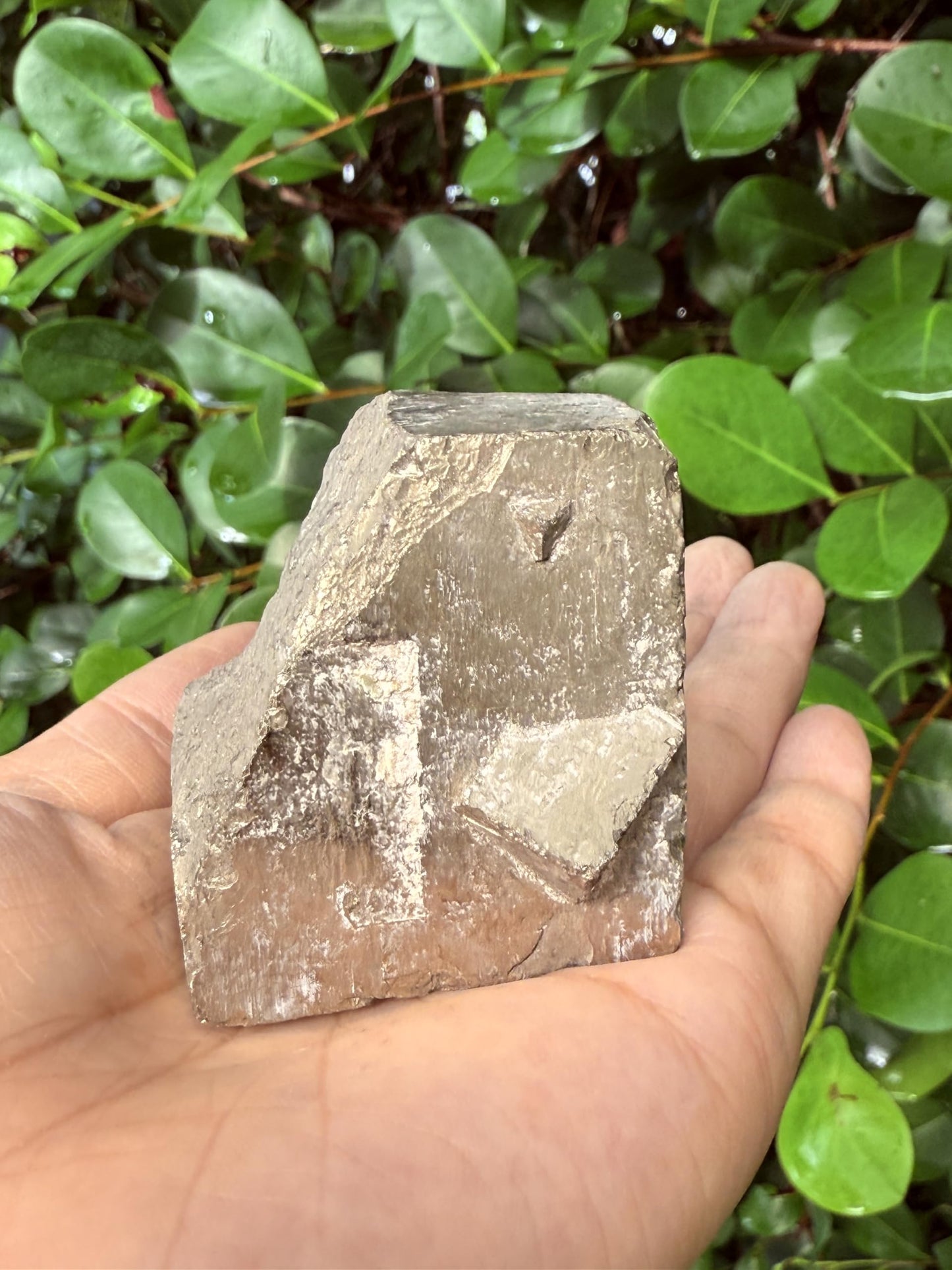 GAF TREASURES XL Raw Pyrite Cube, 3-4" Natural Rough Pyrite Cube, Pyrite Cube Rough, Pyrite Cube Healing Rough Crystal (Pyrite Cube, 0.5-1 lb)