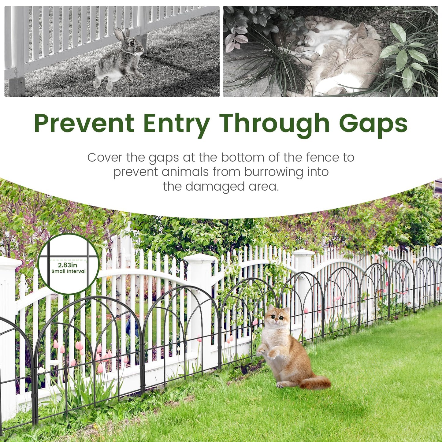 Youpehom Small 12.55"*16.53" Decorative Garden Fencing Border, No Dig Fences Barrier, Black Metal Fence, Garden Edging Fence Panel, Dog Fence Outdoor for Yard, Flower Bed (6 pcs)