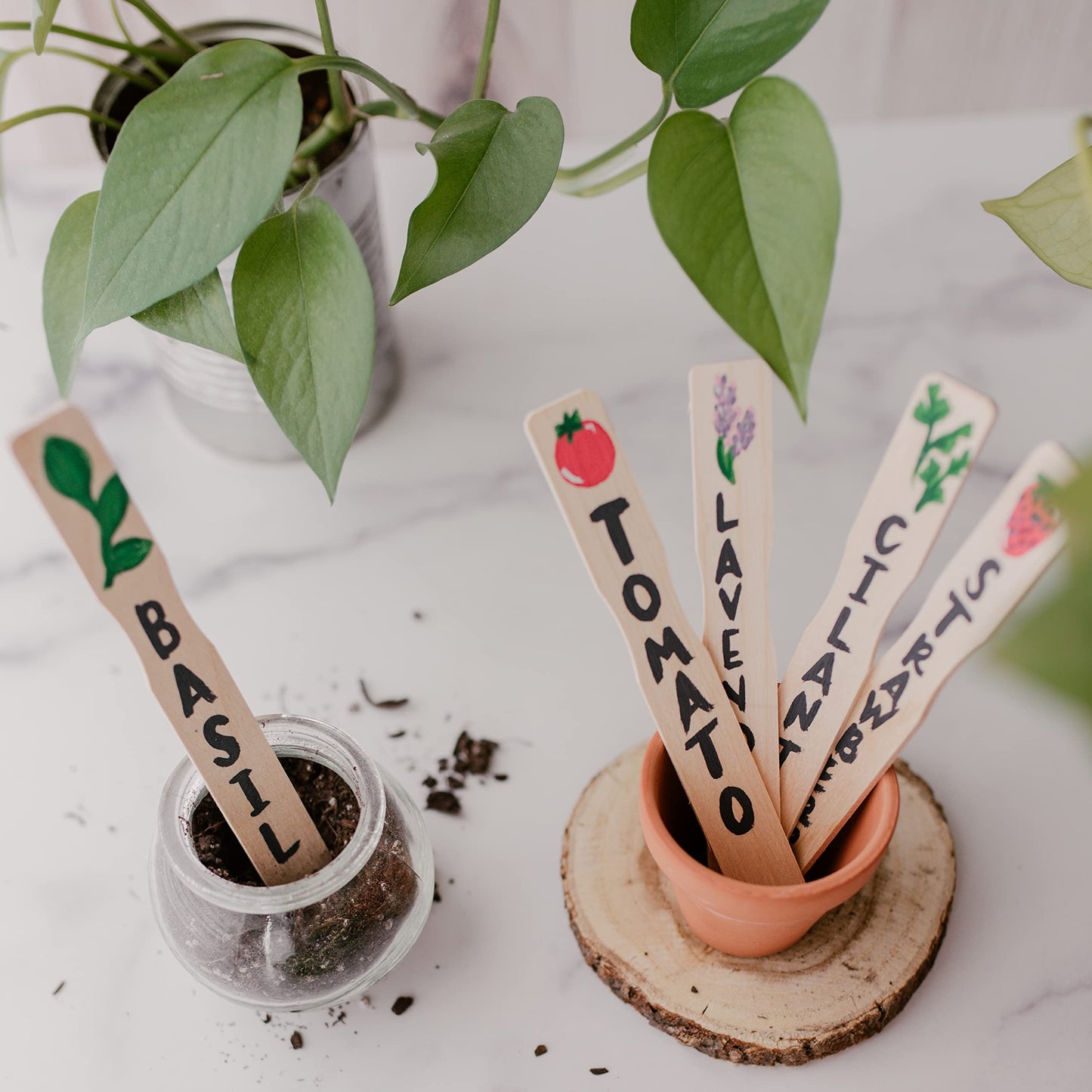 12 Inch Paint Sticks, Box of 50 Hardwood Paint Stirrers, Wood Mixing Paddles for Epoxy or Resin, Garden or Library Markers by Woodpeckers