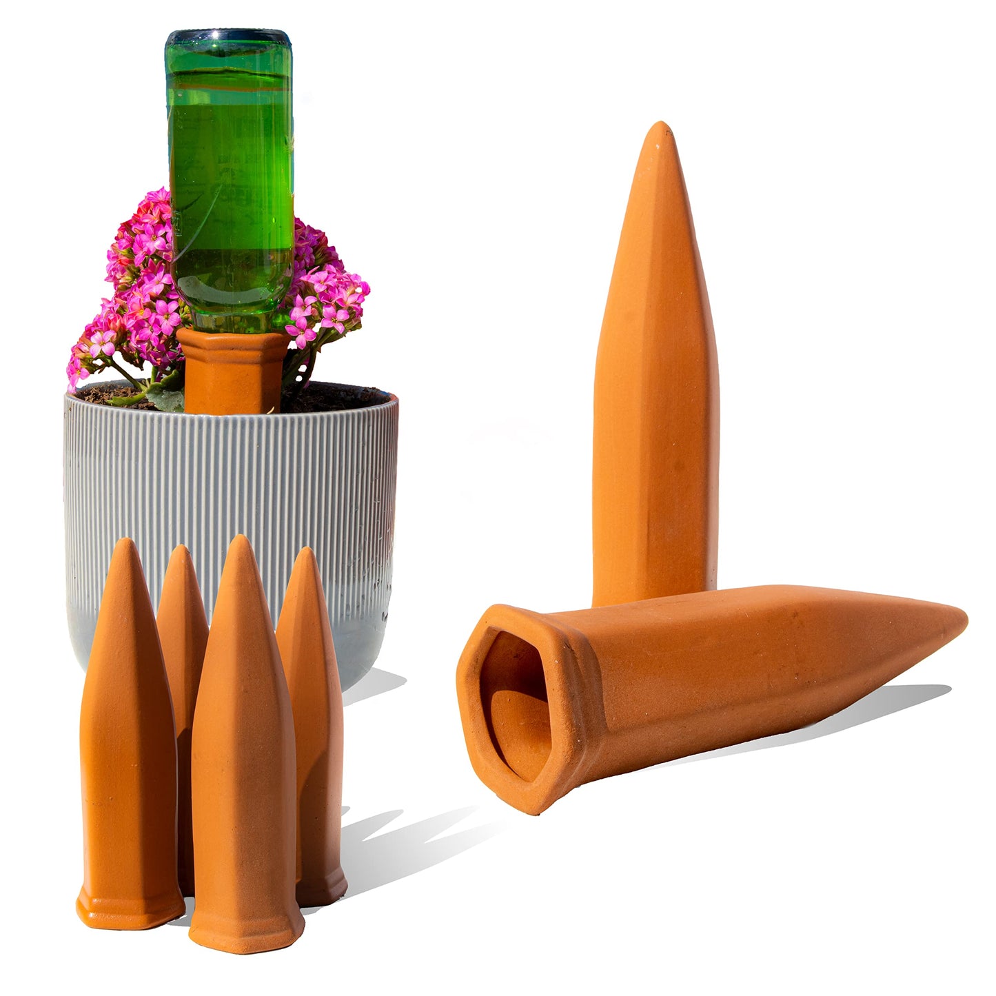 Reifier 6-Pack Natural Self Watering Spikes - Terracotta - Automatic Plant Waterer for Indoor & Outdoor