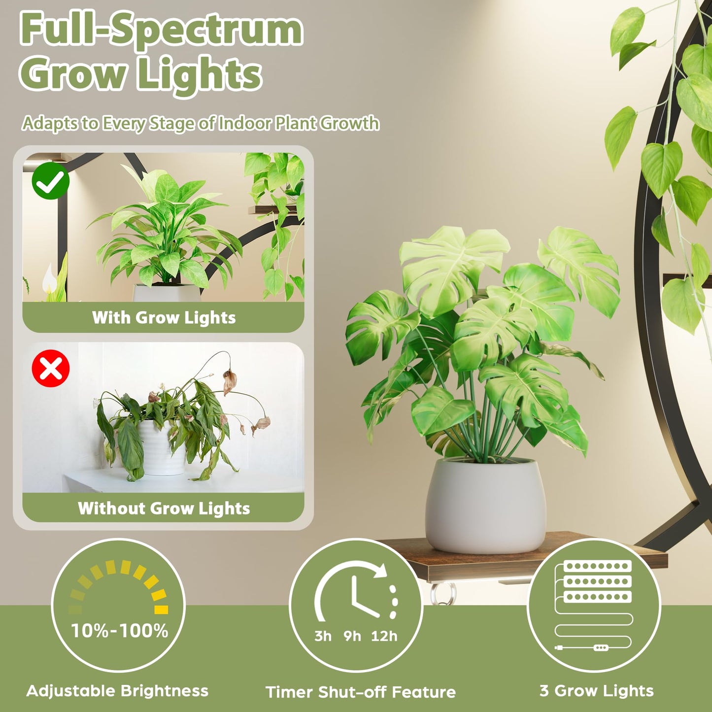 Plant Stand Indoor with Grow Lights, 6 Tiered Indoor Plant Shelf, 48'' Corner Plant Stands for Indoor Plants, Lighted S-Shaped Plant Rack, Tall Flower Holder Display for Living Room, Home (Black)